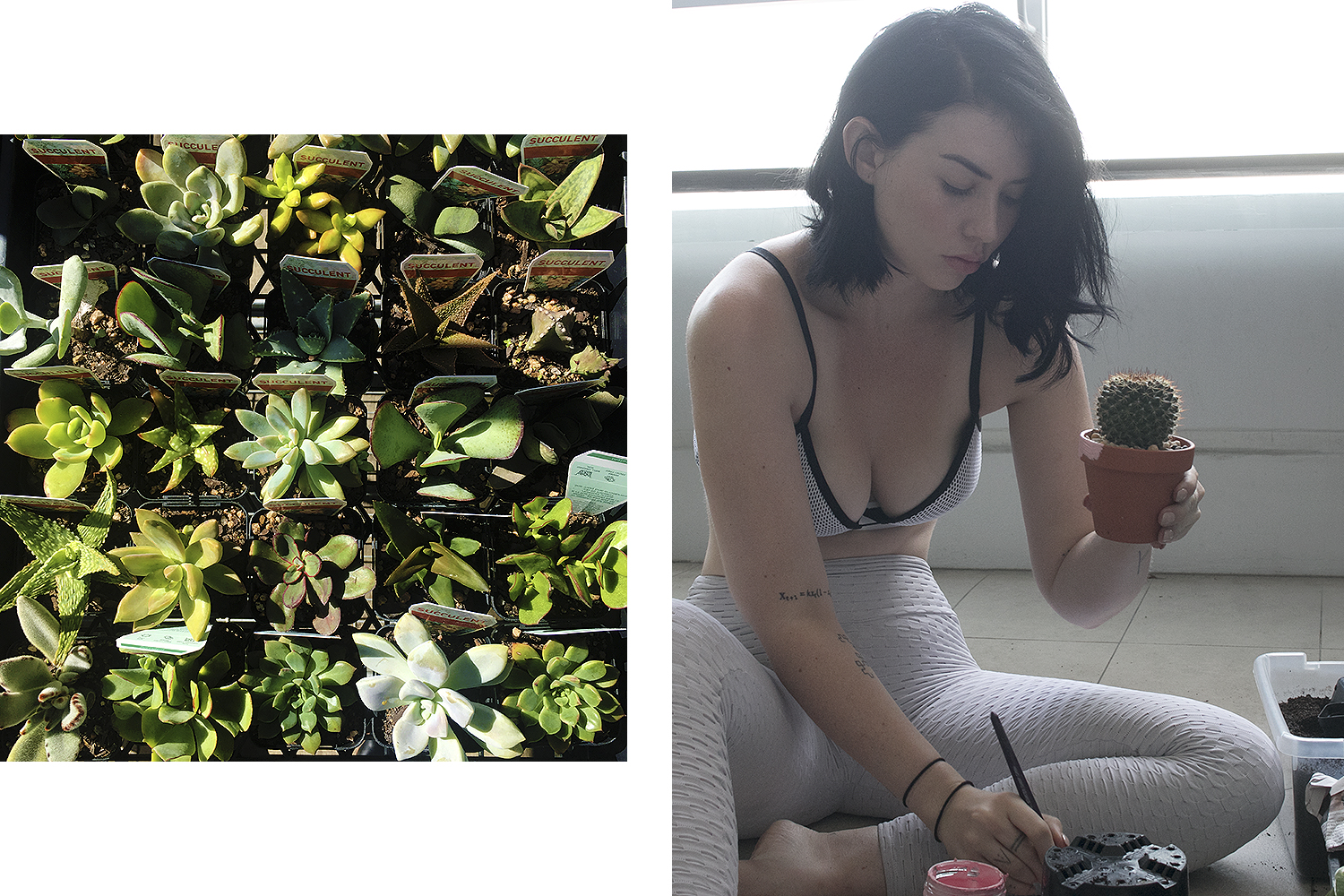 Left: succulents, Right: painting the pot of a pre-planted cactus