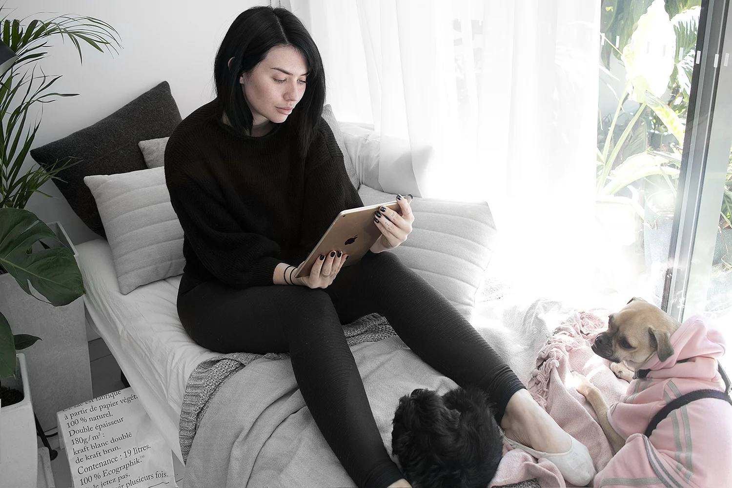 VIDEO RECAP: May 2017