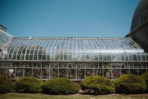 Belle-Isle-Conservatory-Wedding-Shoot-3.jpg