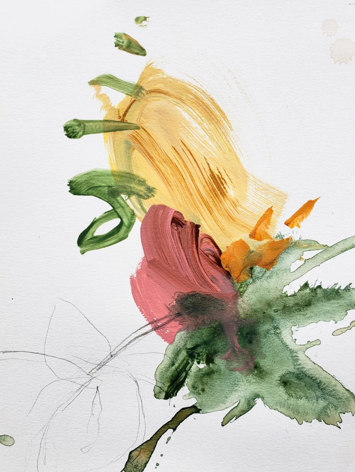 botanical art rachel wadlow