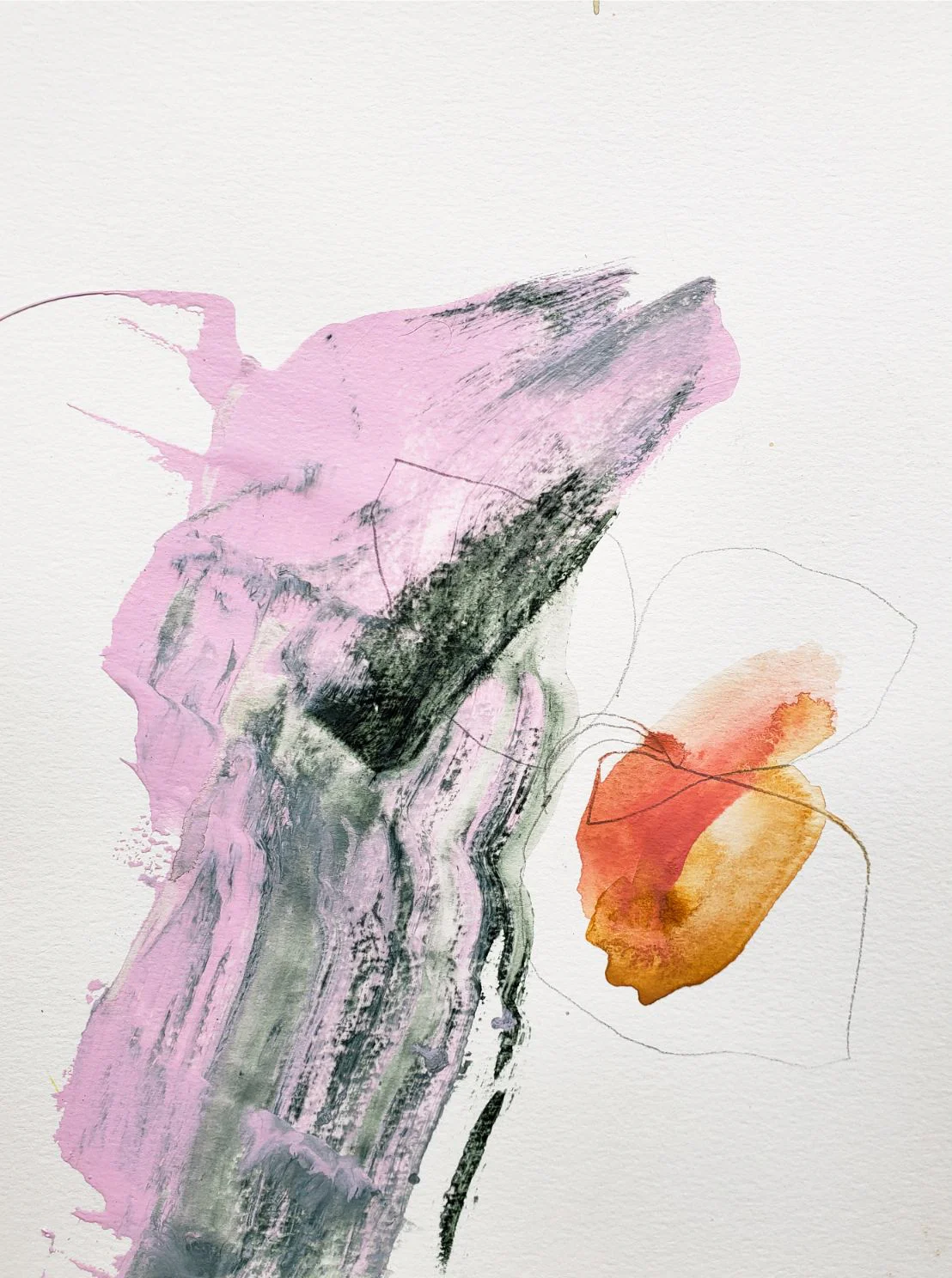 orchid painting rachel wadlow