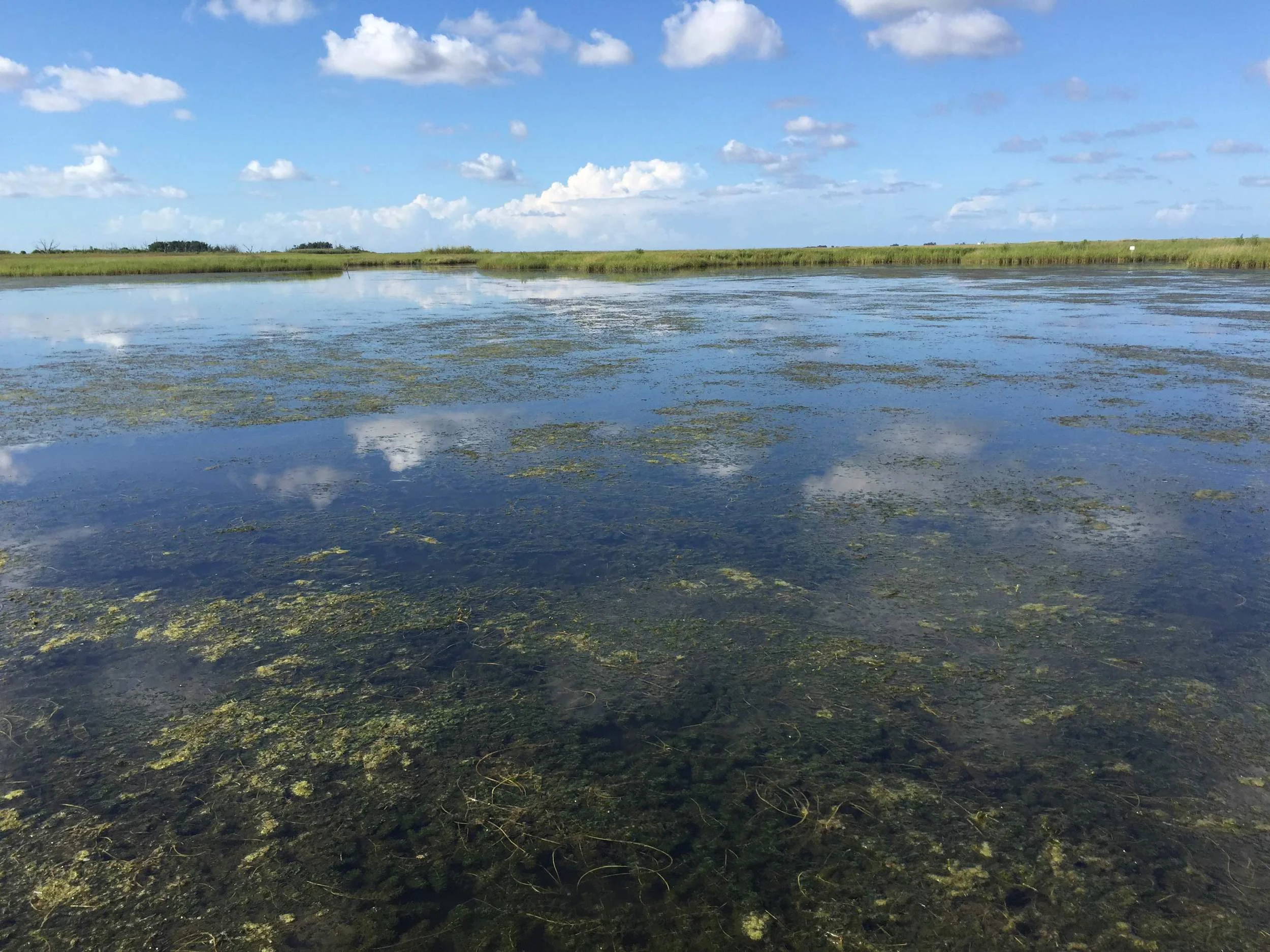  Milfoil, Terrebonne Bay,&nbsp;LA 