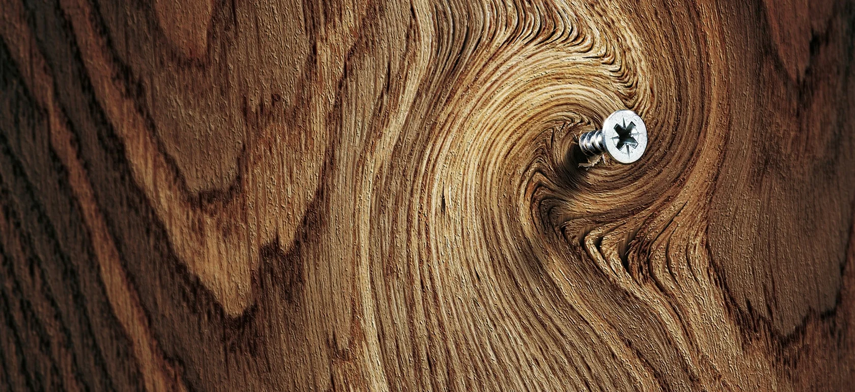 wood-5225-1680x1050.jpg