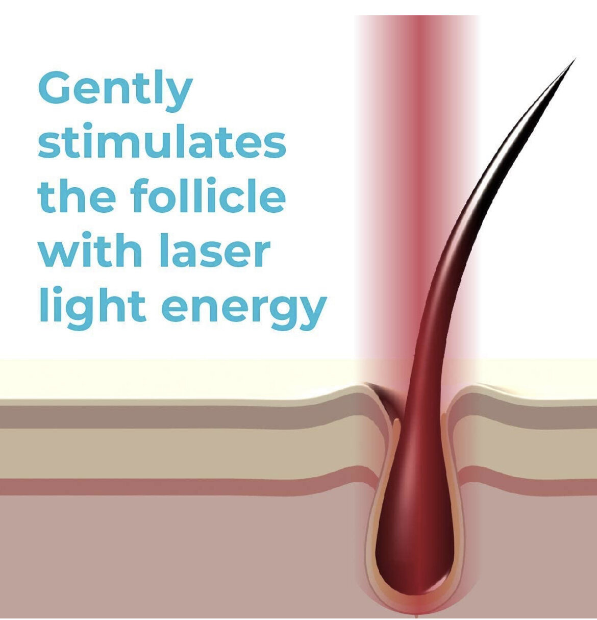 B062261E-EE23-4128-BEA1-74921D0F8833