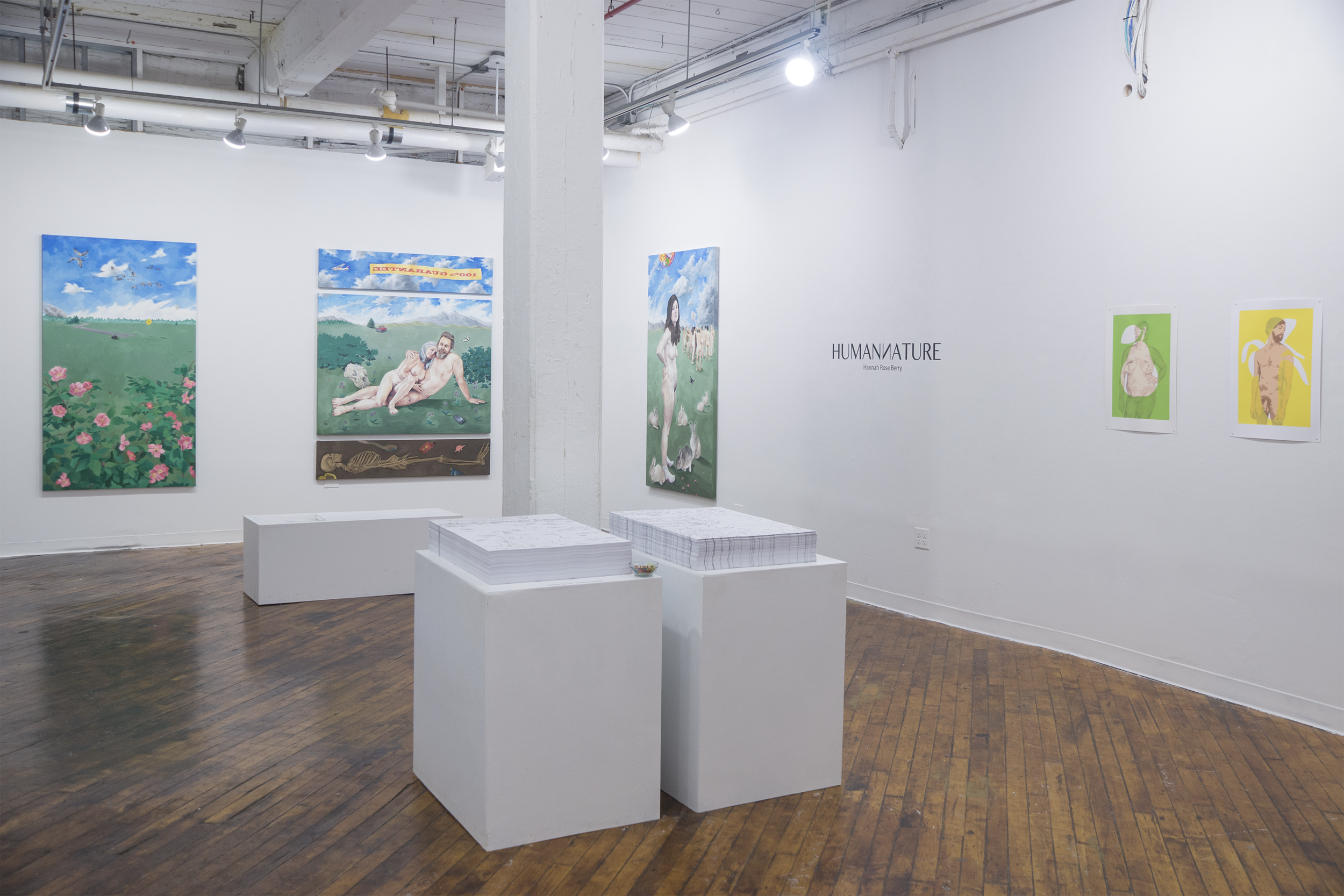  Solo Exhibition, Steuben Gallery, Brooklyn, NY 