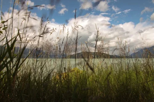 Across A Lake.jpg