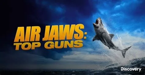 Air Jaws Top Guns