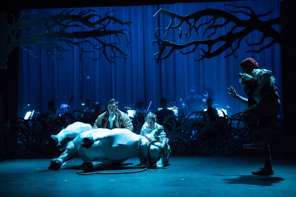 Into the Woods 2 - Spring 2018.jpg