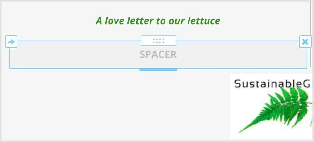 Example in Weebly of spacer block following text