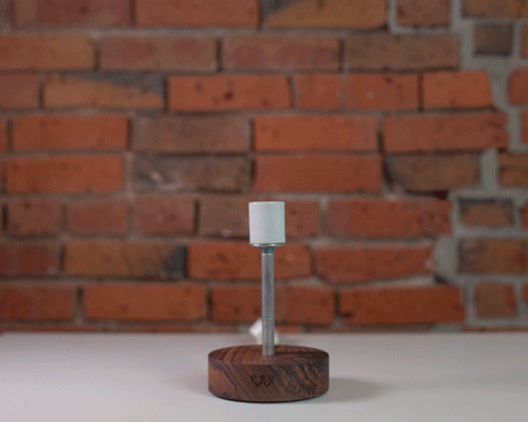 LAMP-GIF2 (2).gif