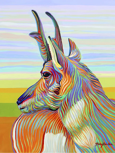 King of the prairie 6X9.jpg