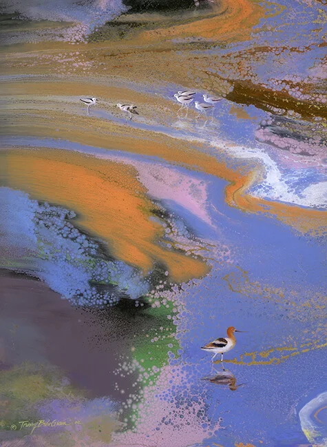 Shorebirds 6x9.jpg