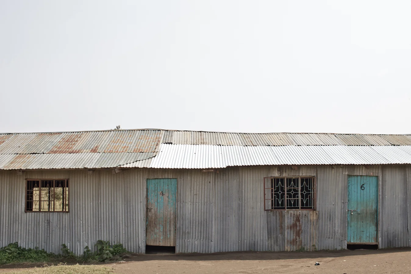 Moi Ndabi-05.jpg