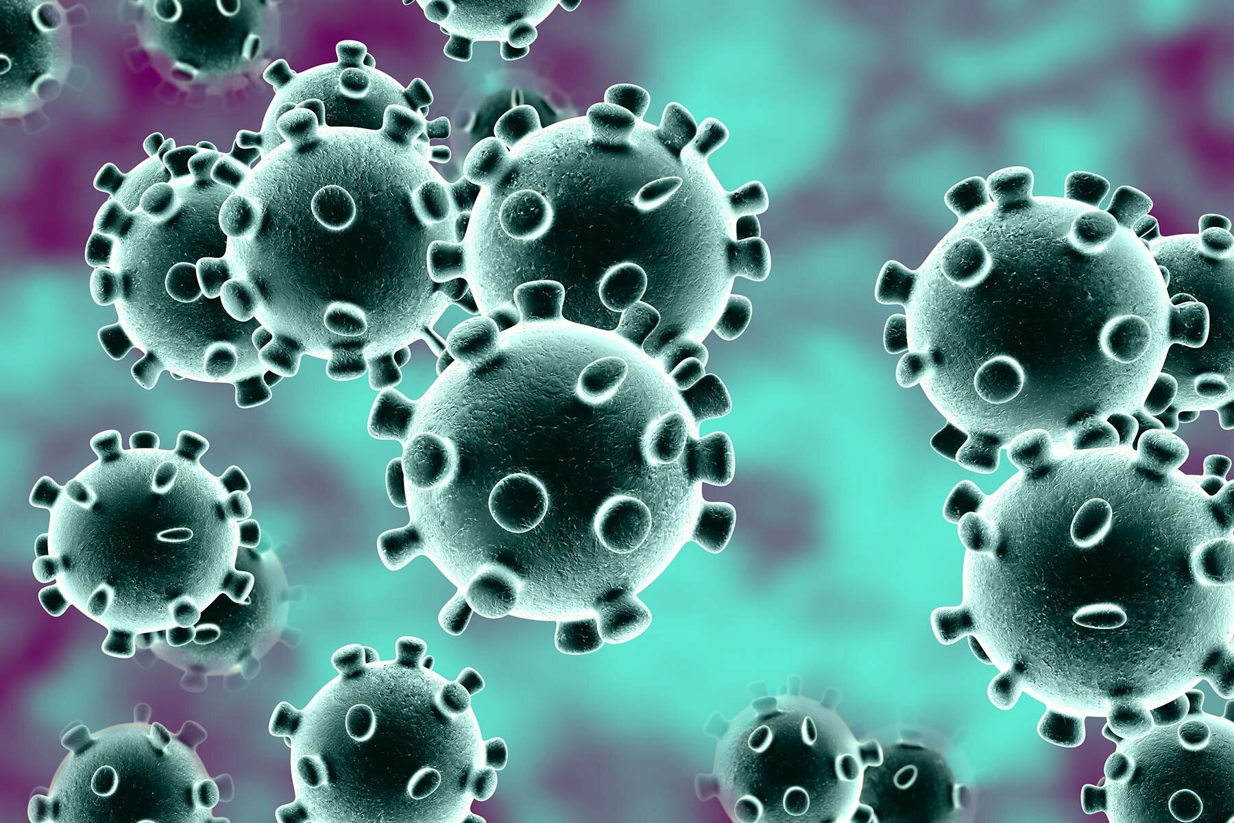 Living through the Coronavirus Pandemic