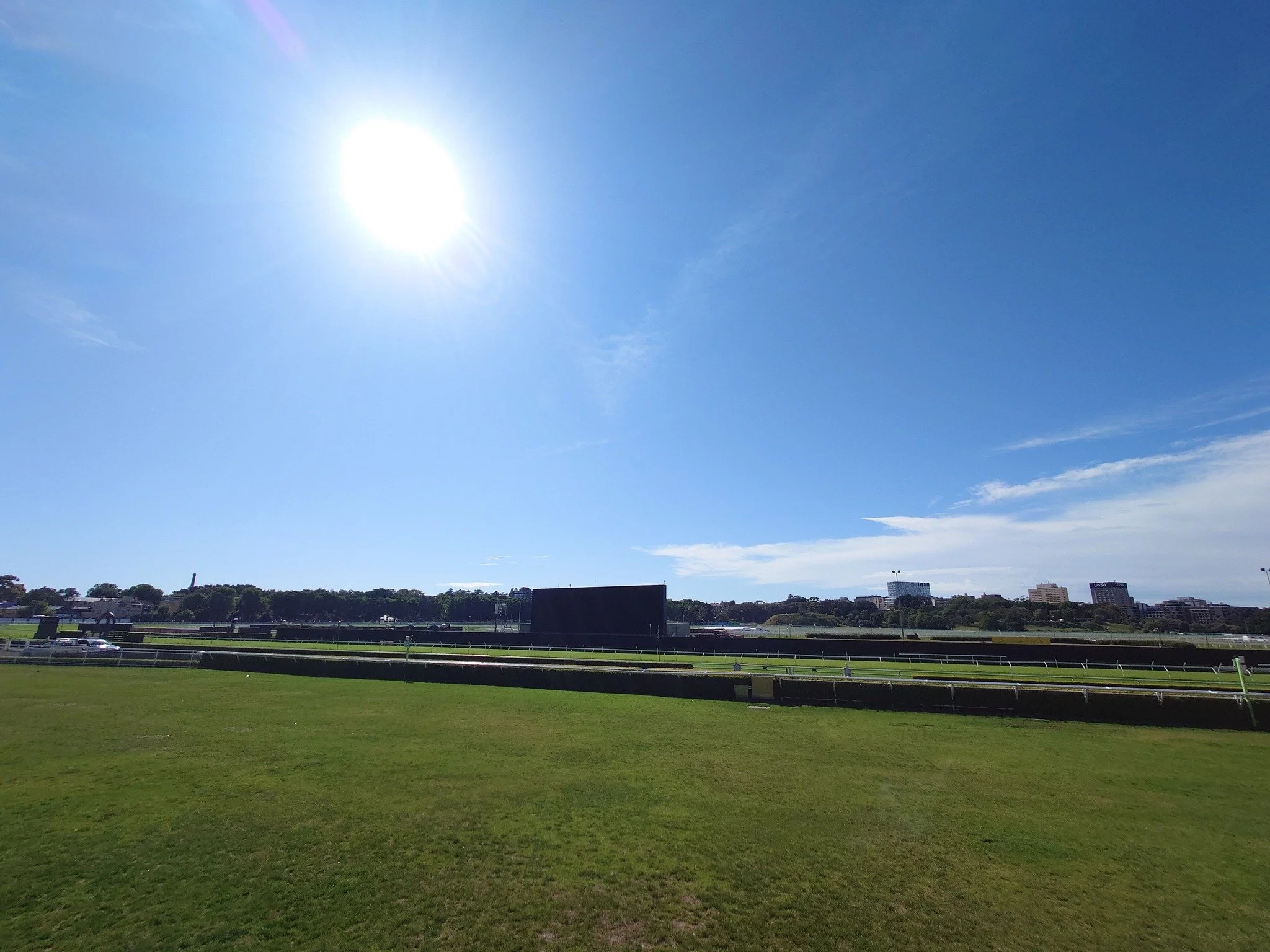 Office for the day - November 2025 ( Late Spring)