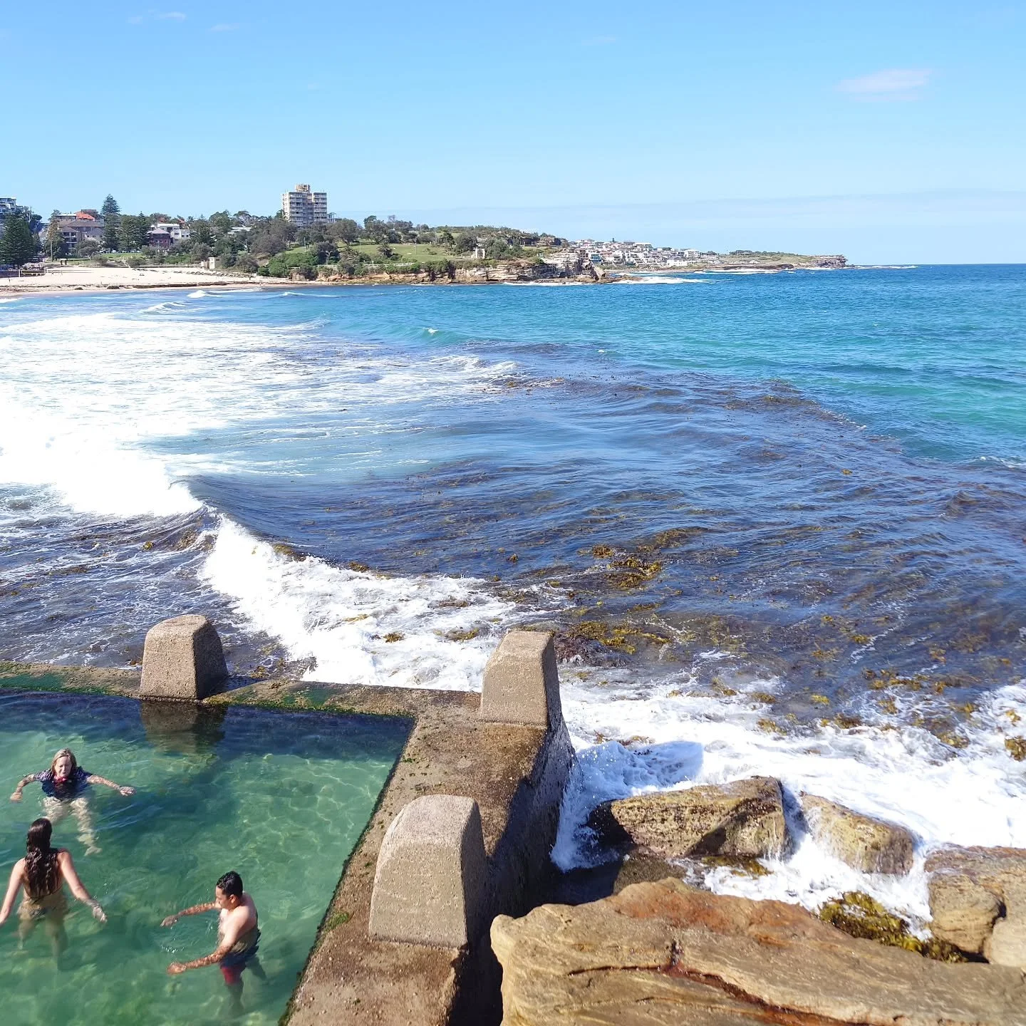So much #seaweed #beachphotography #beach #beachlife