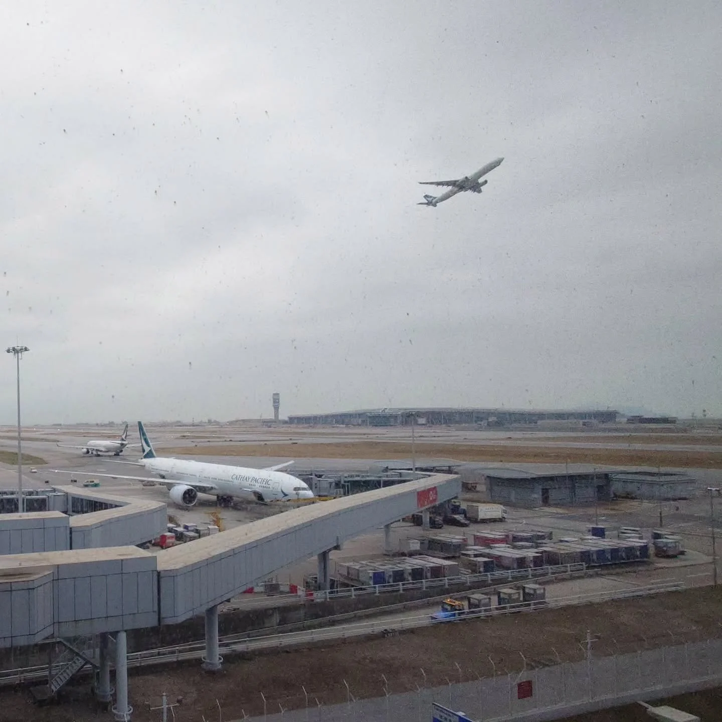 That's a wrap for this year...