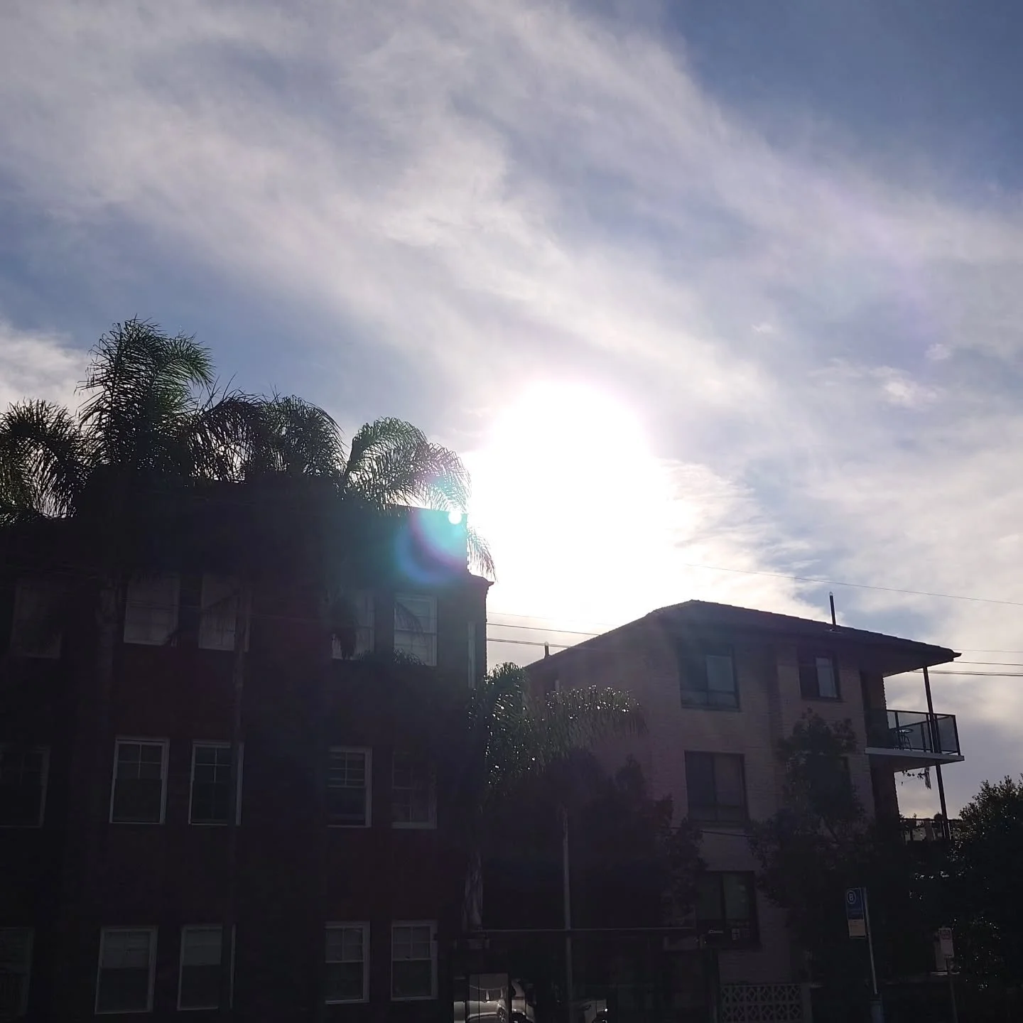 Morning sun