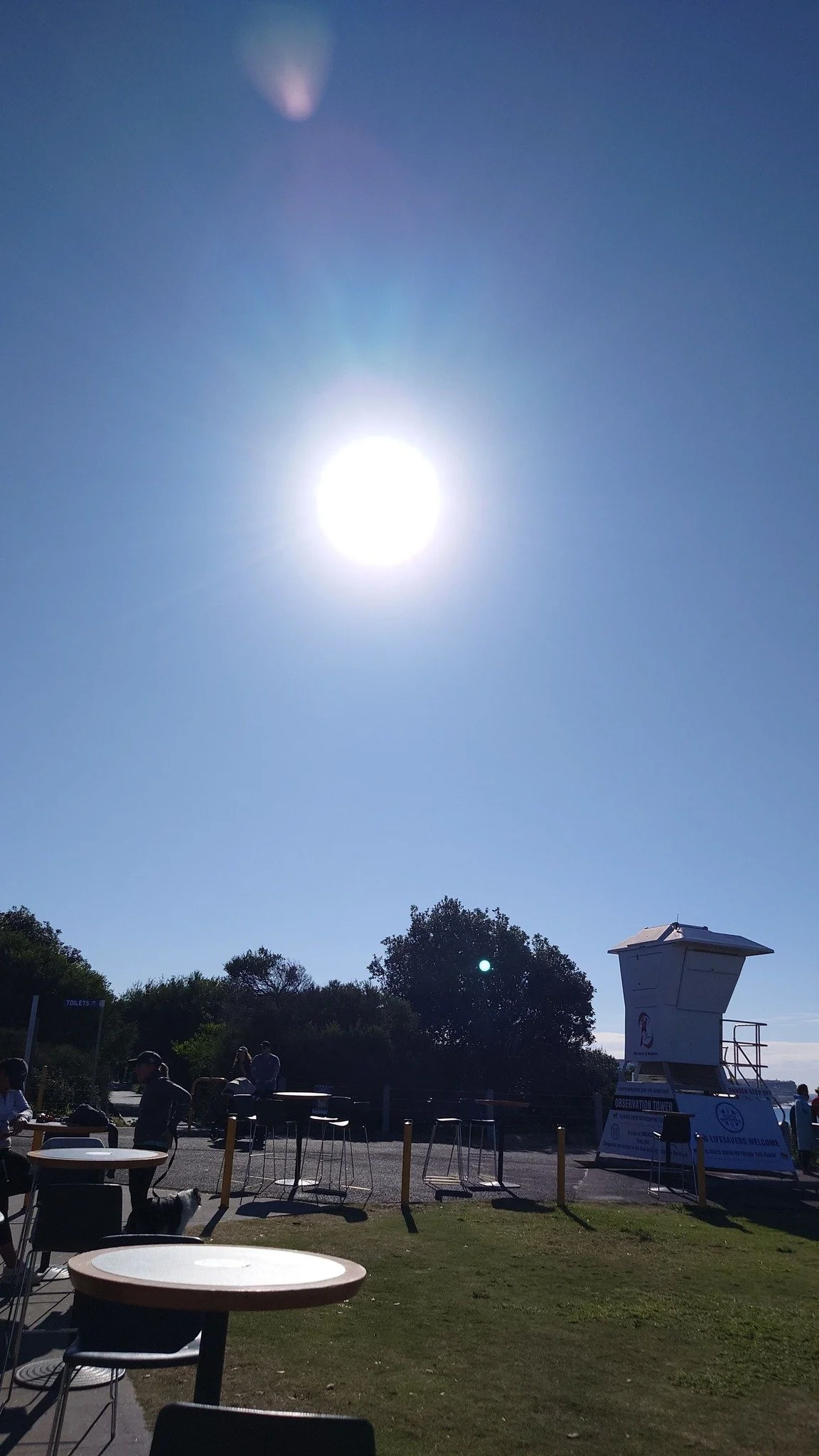 Sun's out - June 2026 (Early Winter)