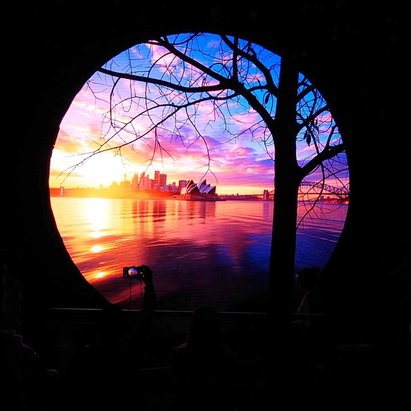 @vividsydney