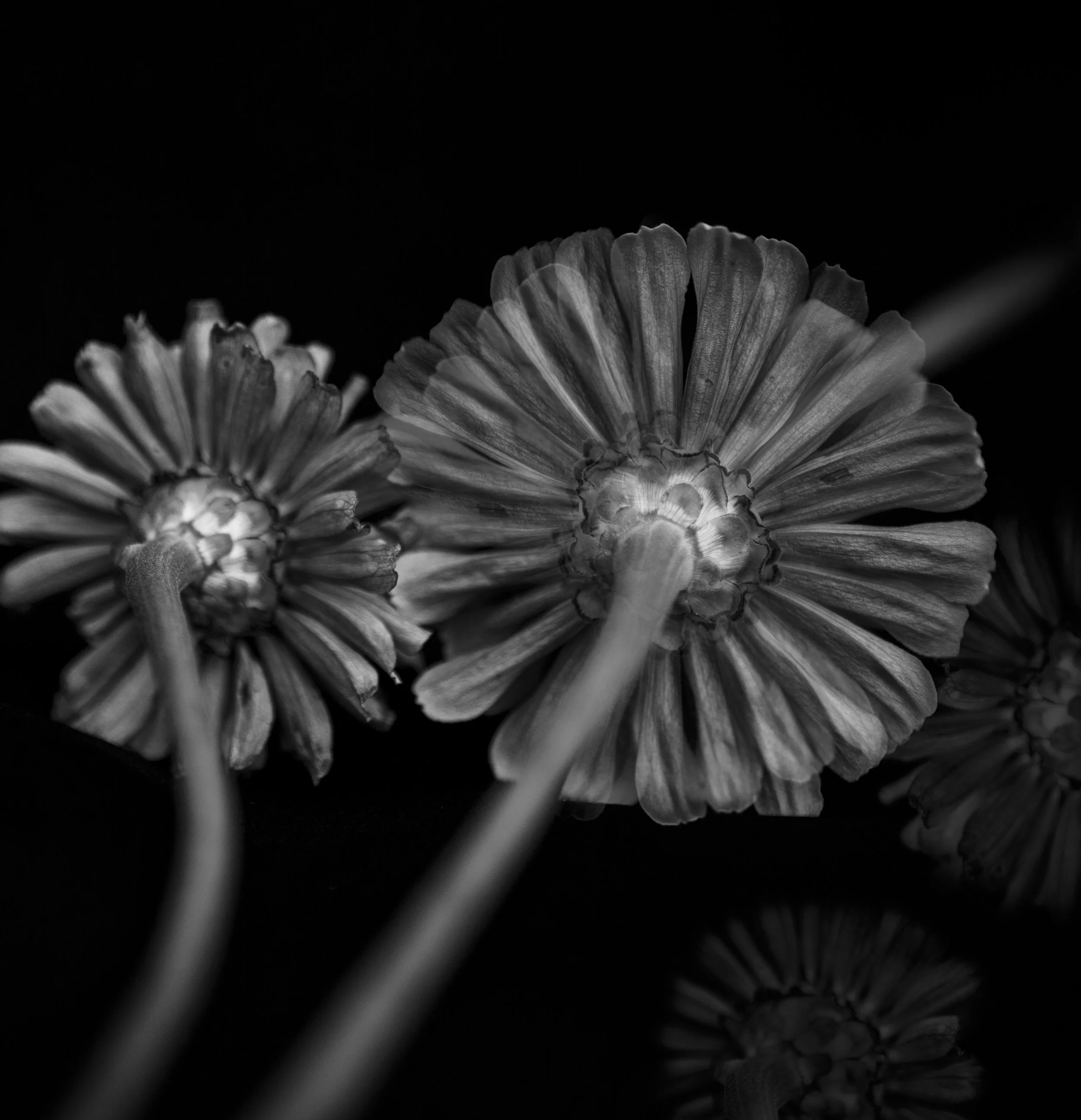 Web-natures time-2.jpg