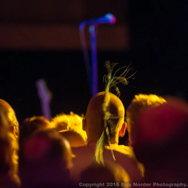 2016-03-18 The Buzzcocks-06952.jpg