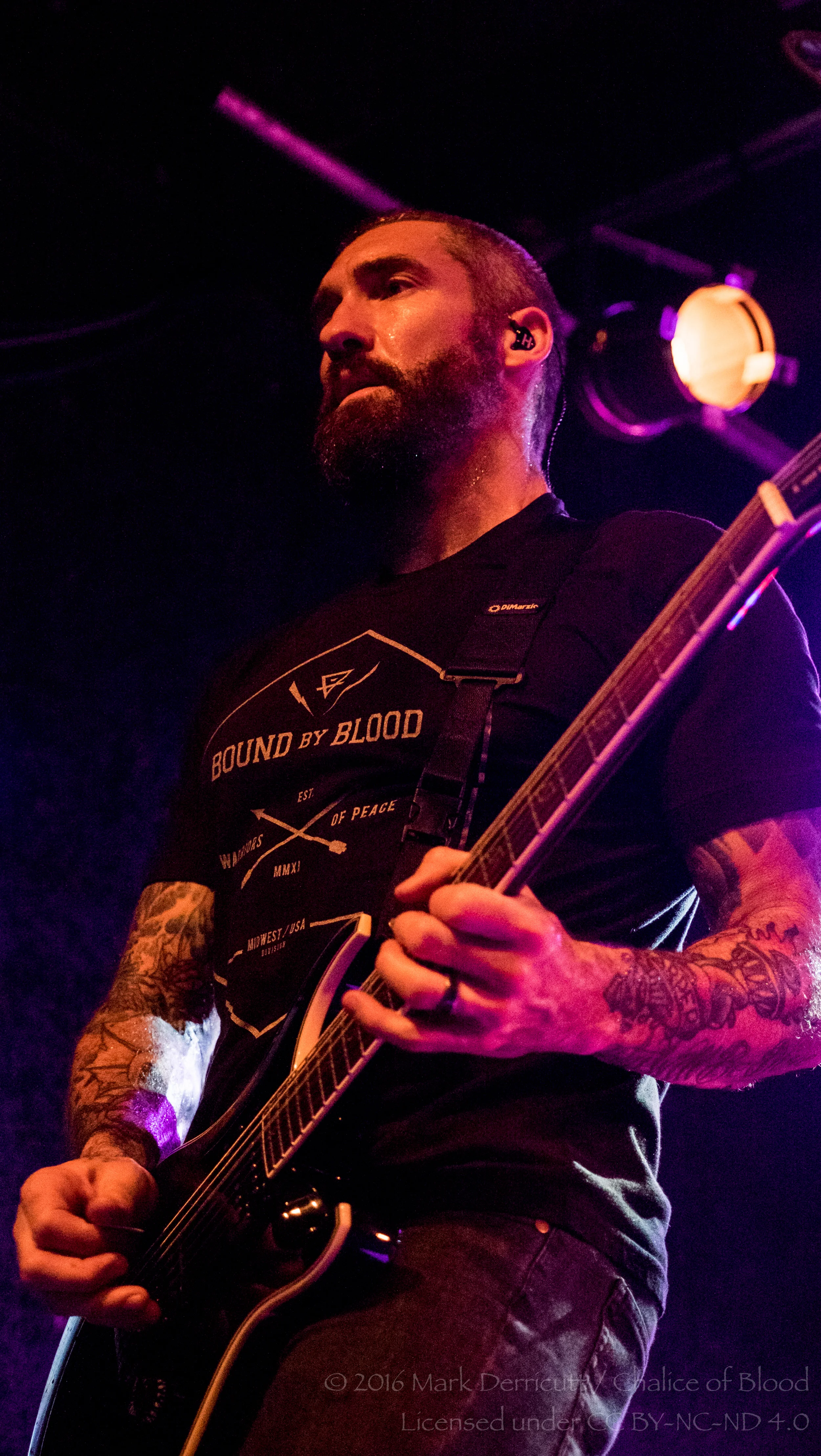 Sevendust - 61.jpg