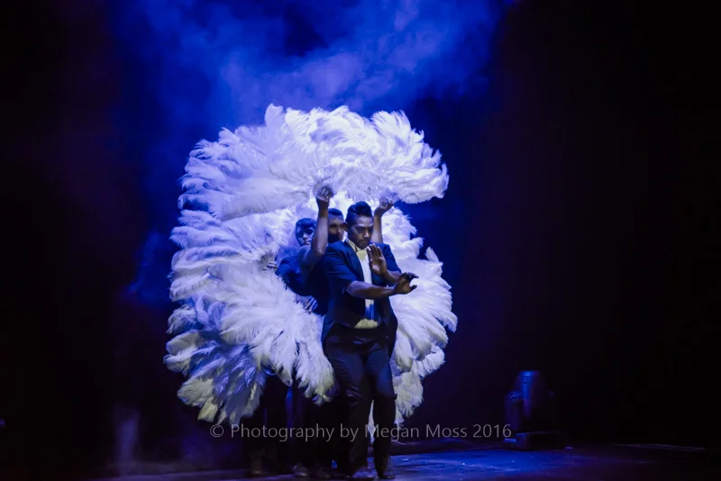 Briefs Media Screen - ASB Theatre-2708.jpg