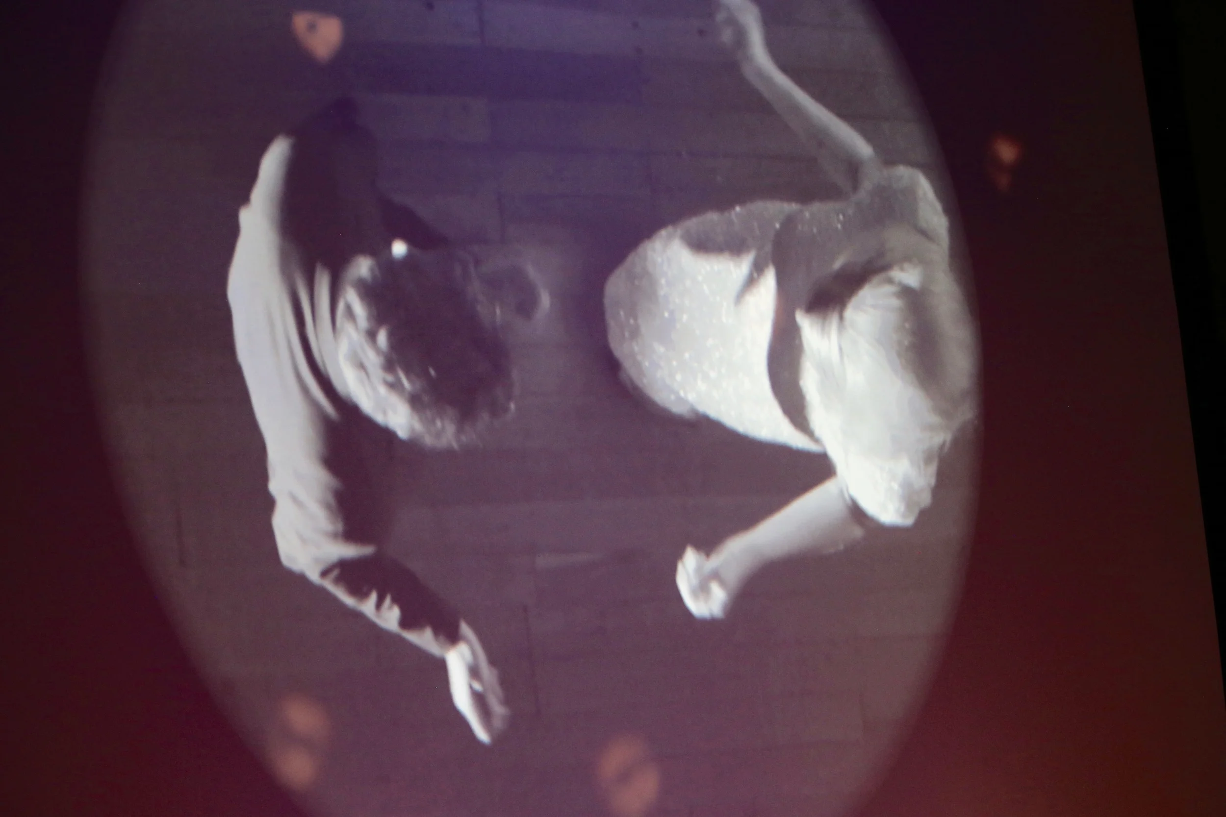 AE1Q9244.jpg