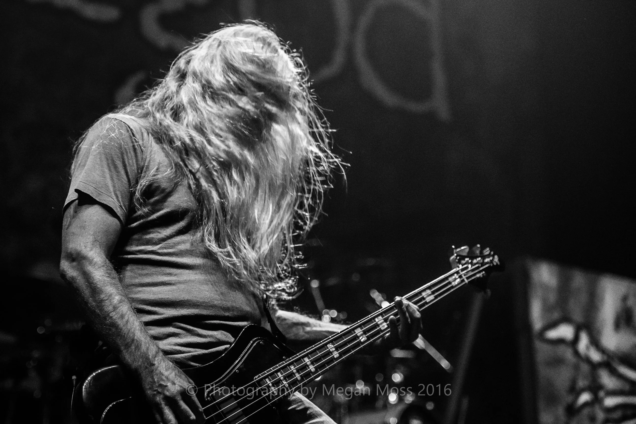 Lamb of God_Vector_-1.jpg