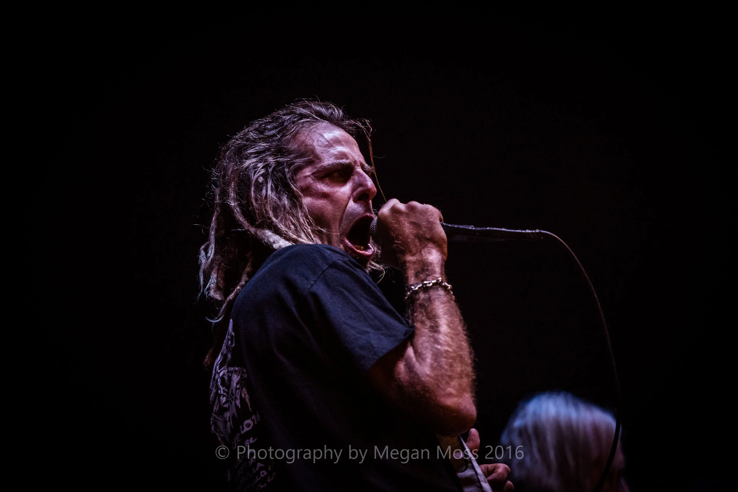 Lamb of God_Vector_-4.jpg