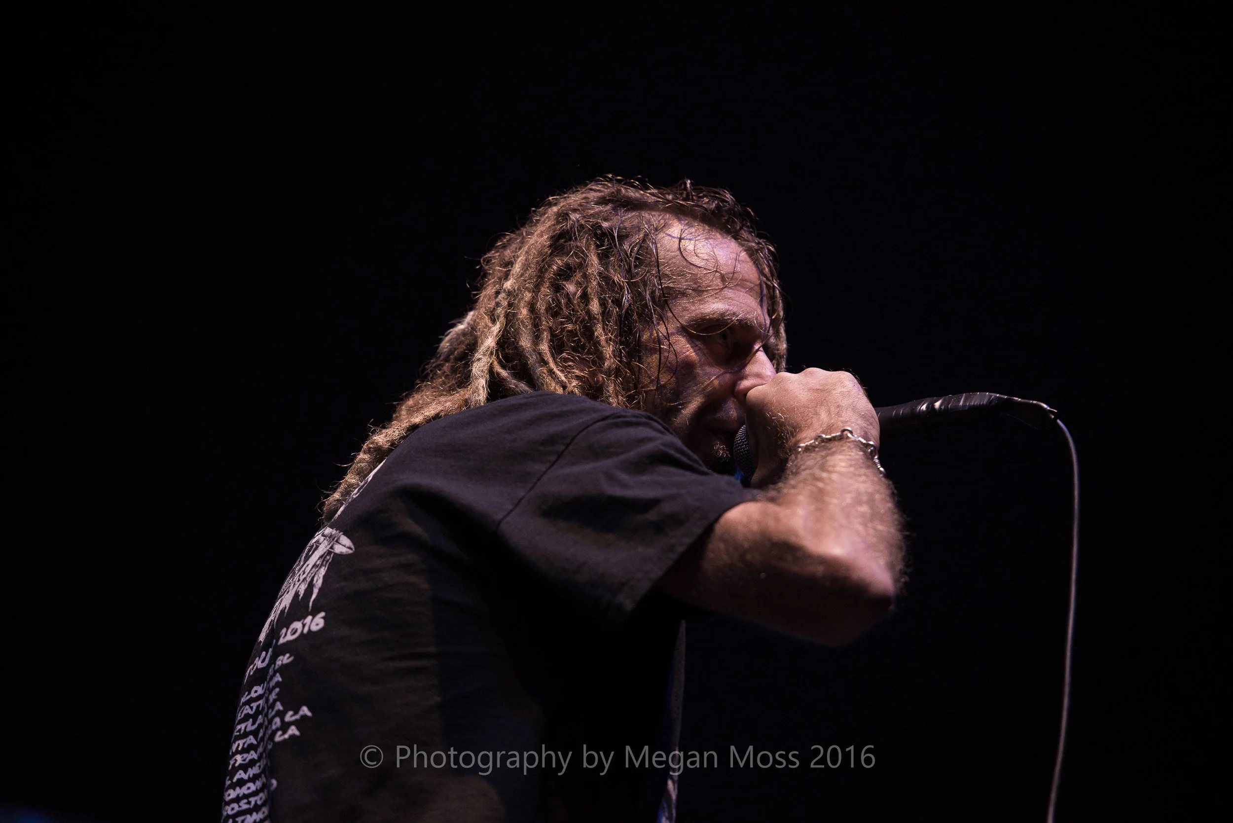 Lamb of God_Vector_-13.jpg