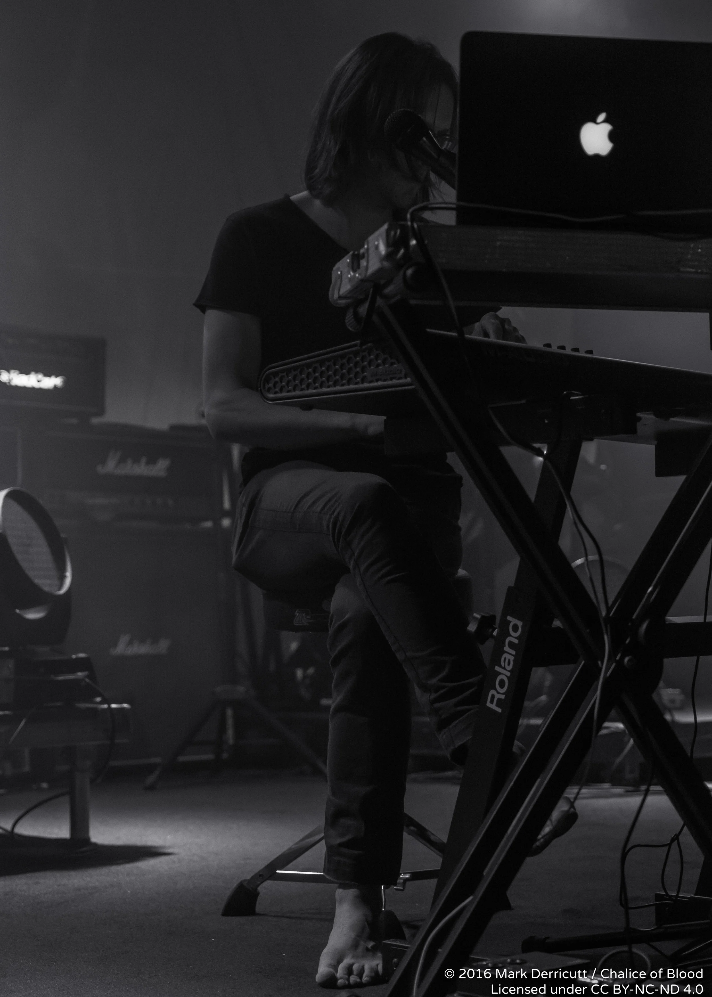 Steven Wilson - 2.jpg