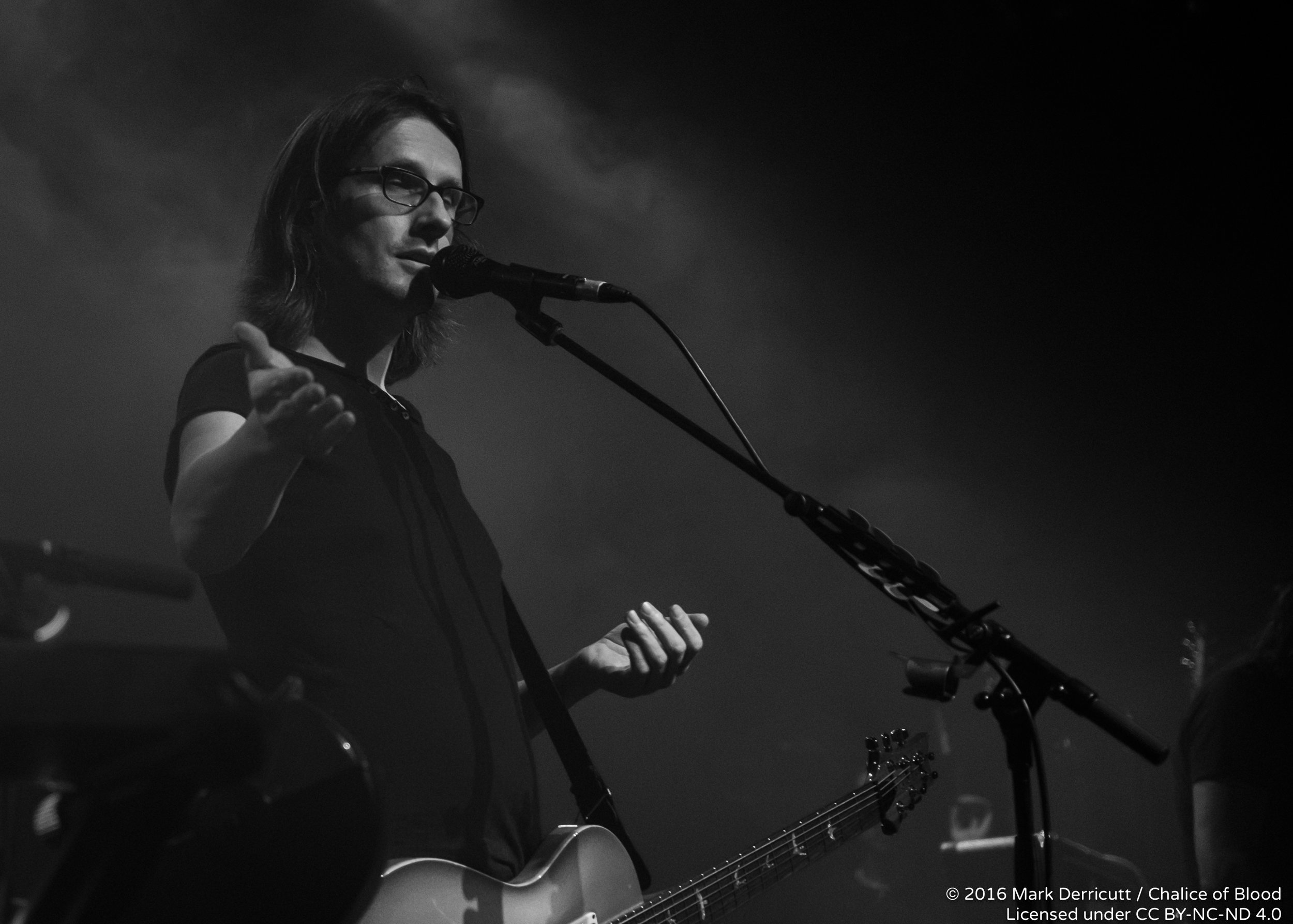 Steven Wilson - 21.jpg