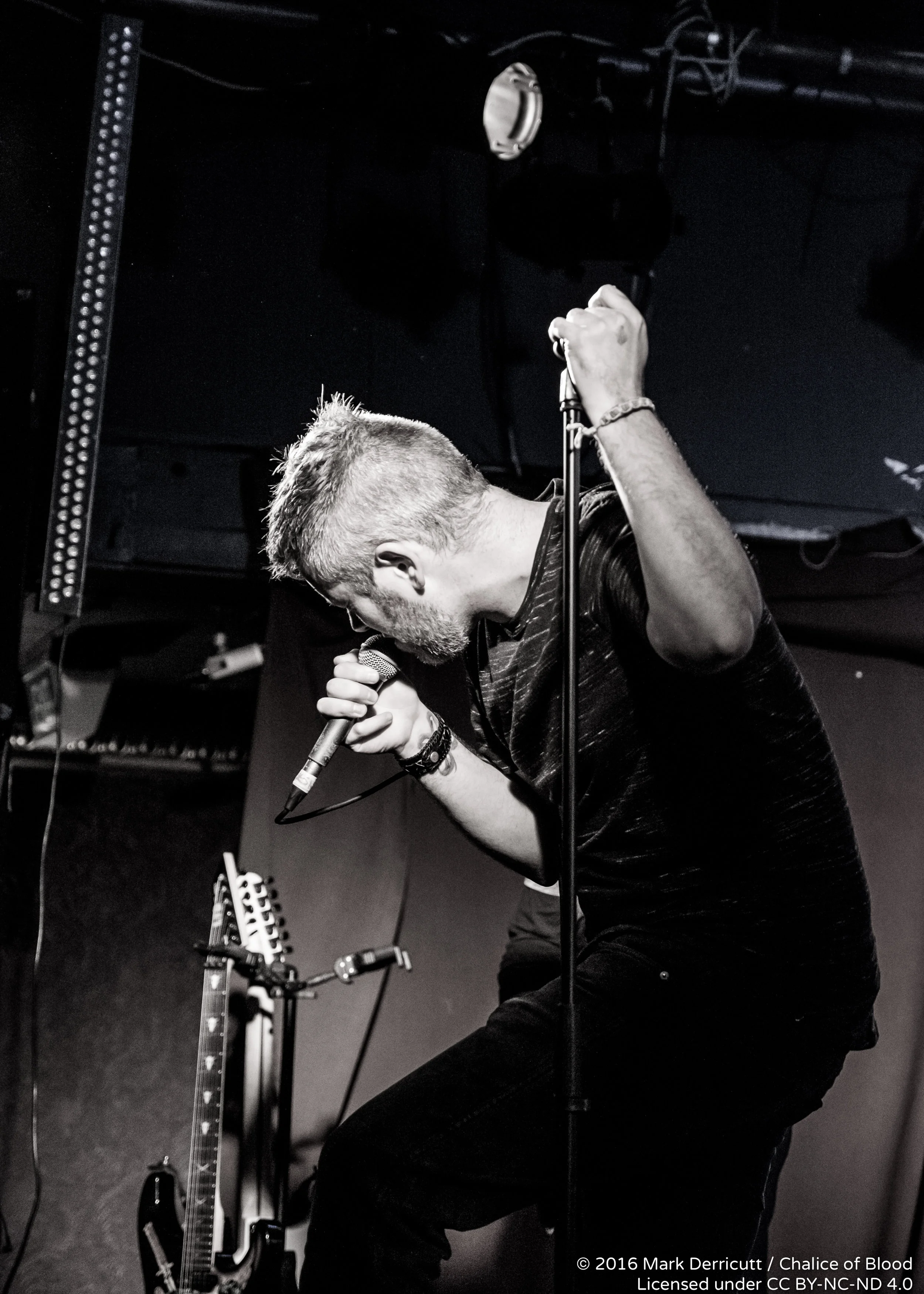 Primacy - 43.jpg
