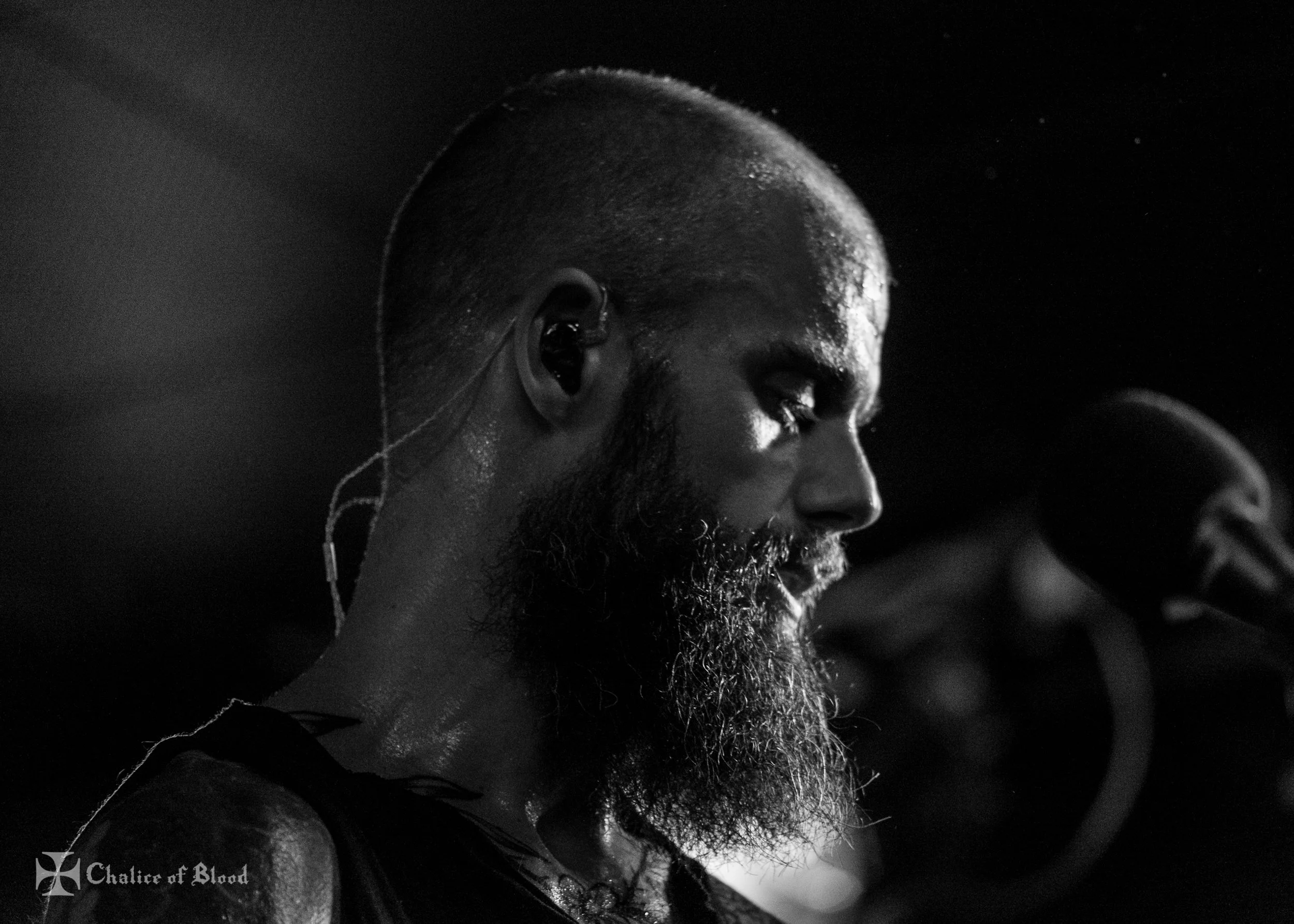 Baroness - 25.jpg