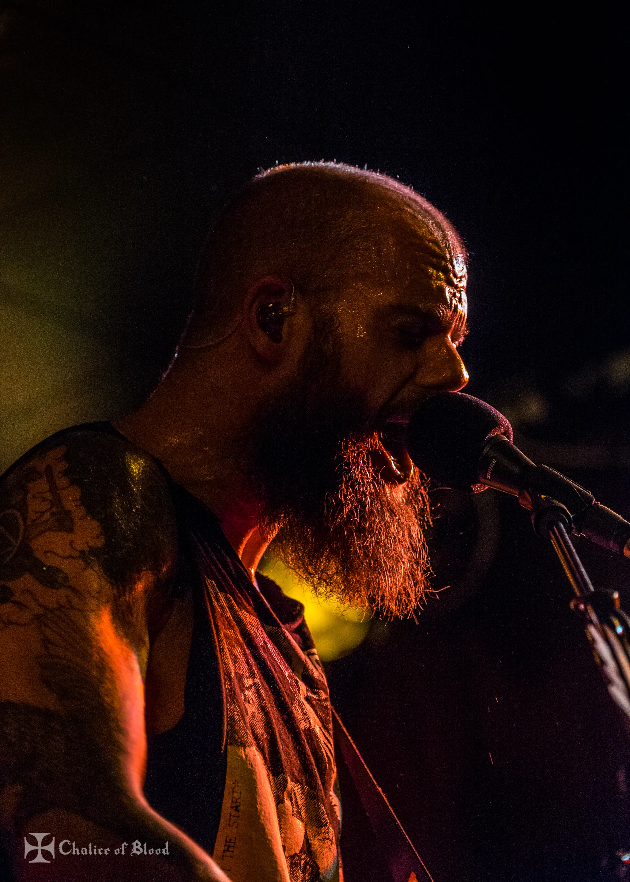 Baroness - 27.jpg