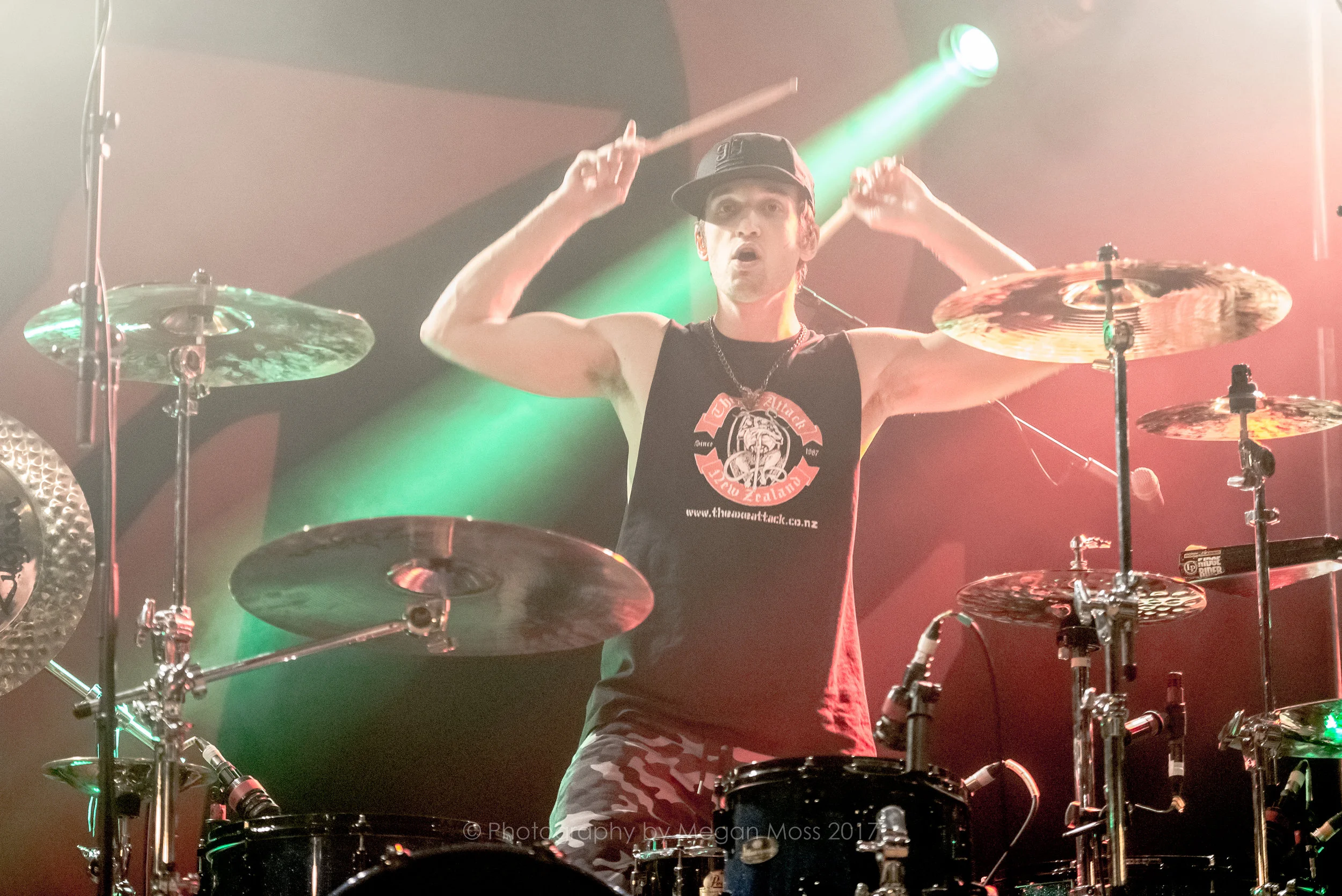 Halestorm 7 Jan 2017-5704.jpg