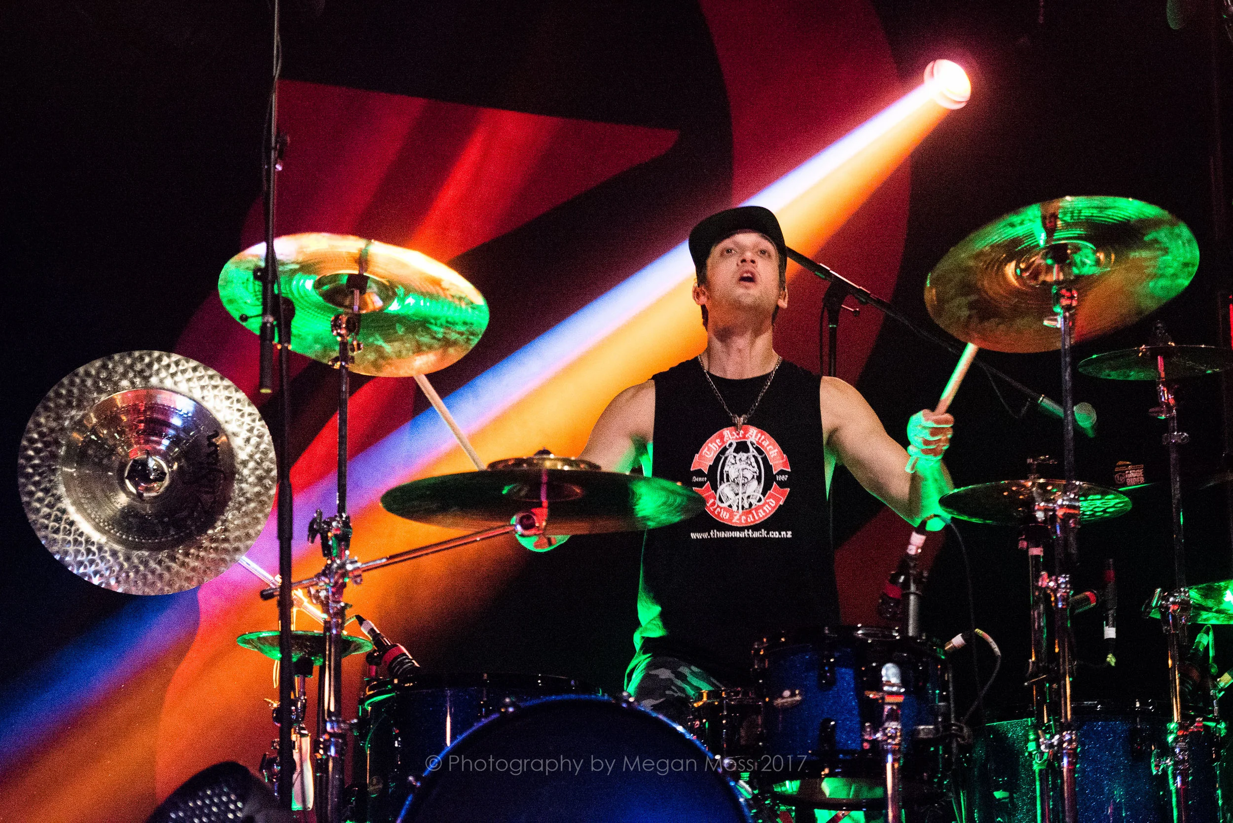 Halestorm 7 Jan 2017-5701.jpg