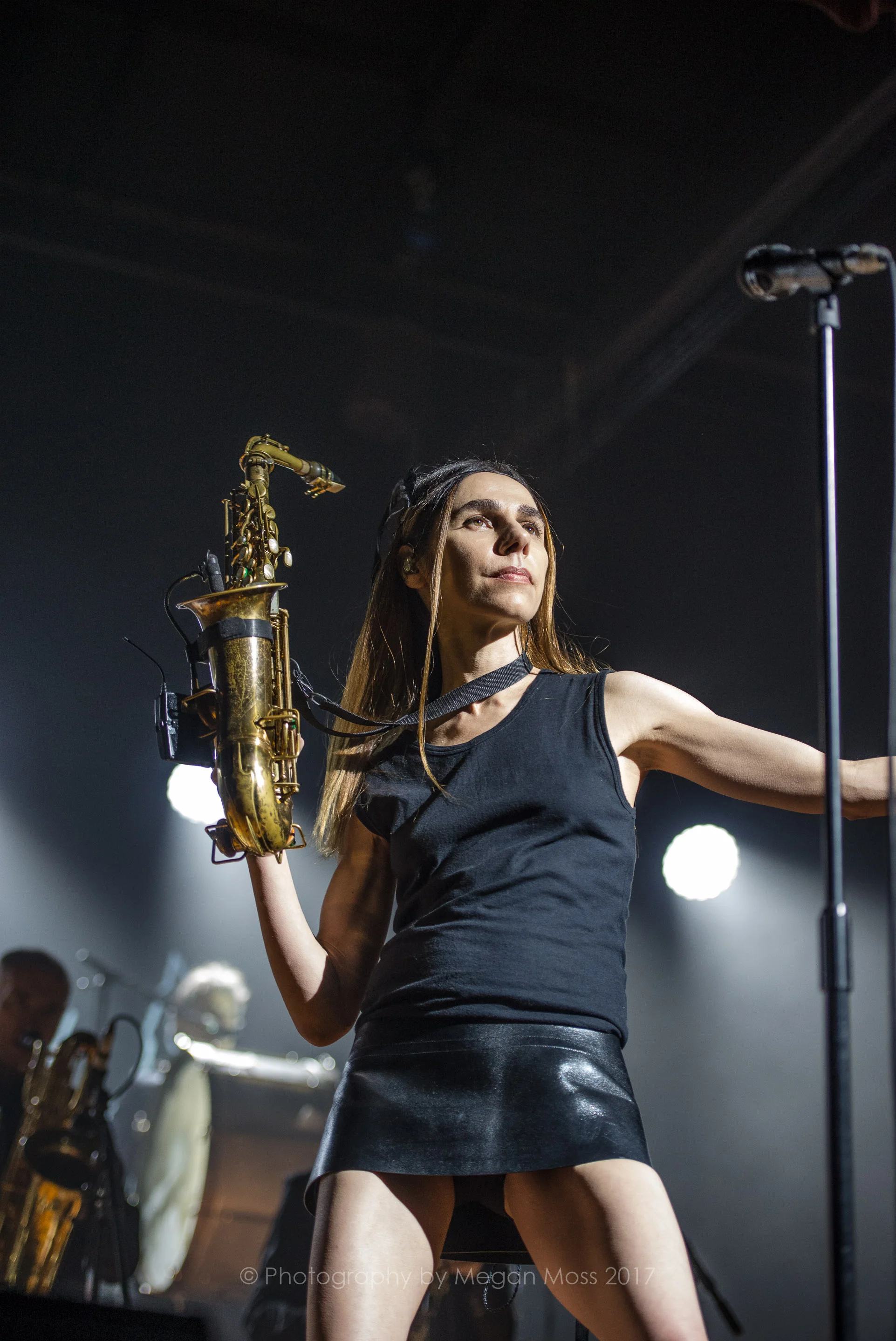 PJ Harvey 24 Jan 2017-17.jpg