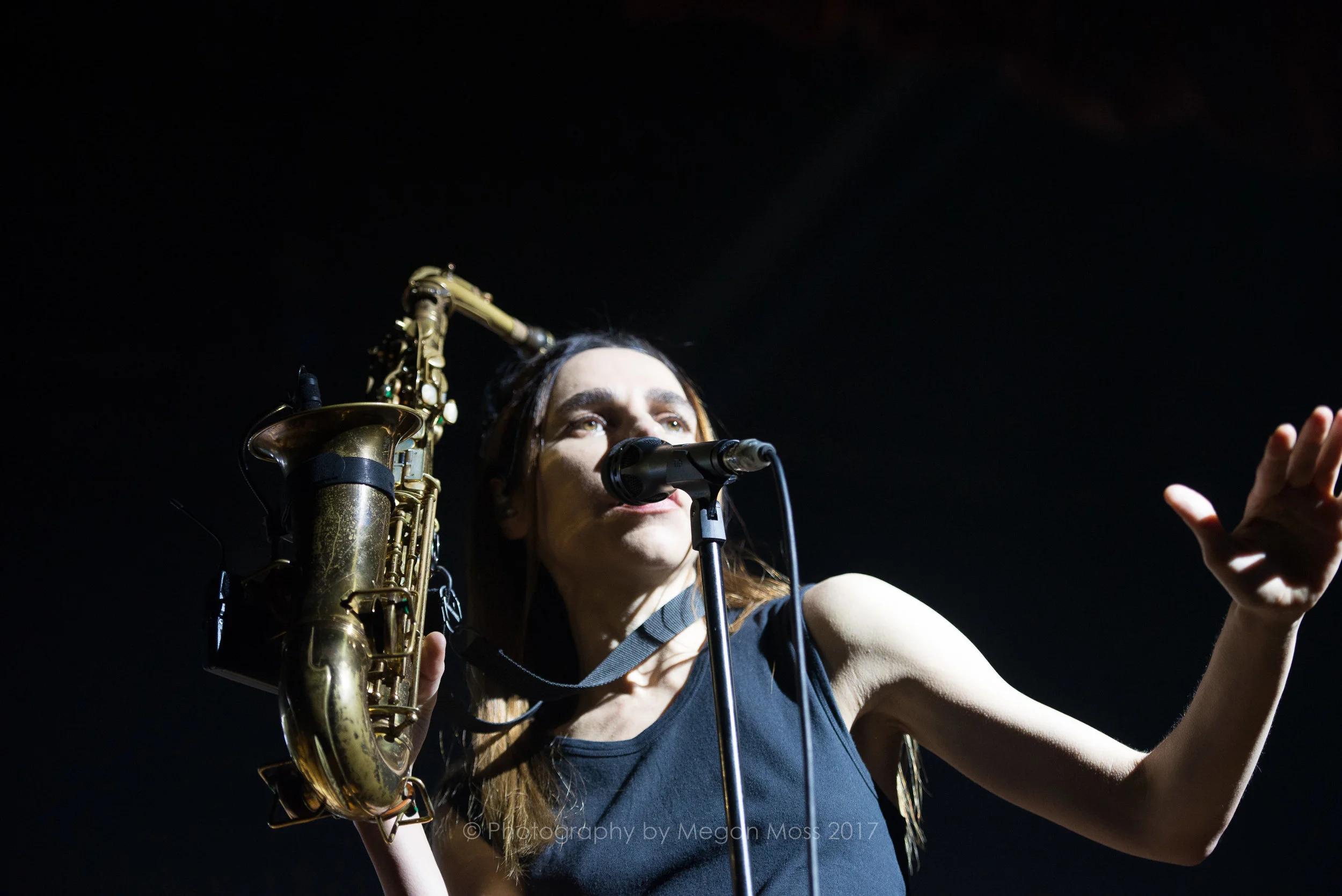 PJ Harvey 24 Jan 2017-22.jpg