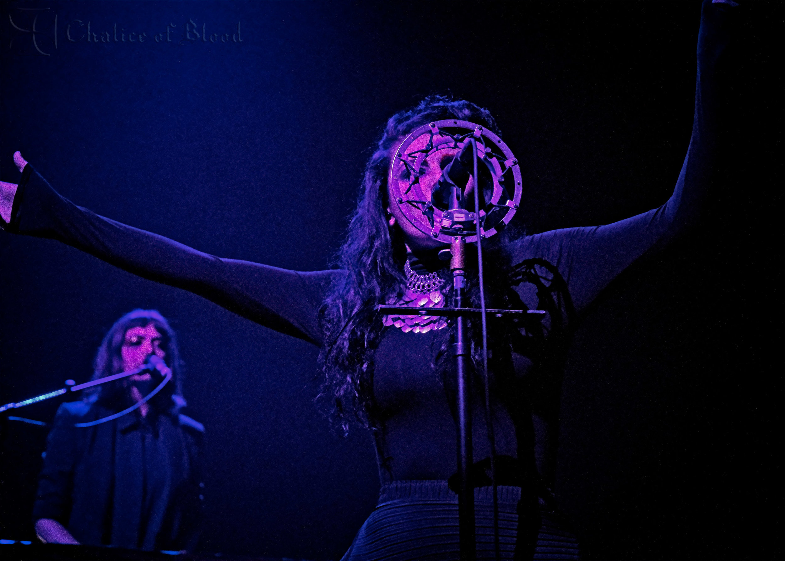 Puscifer - 115 copy.jpg
