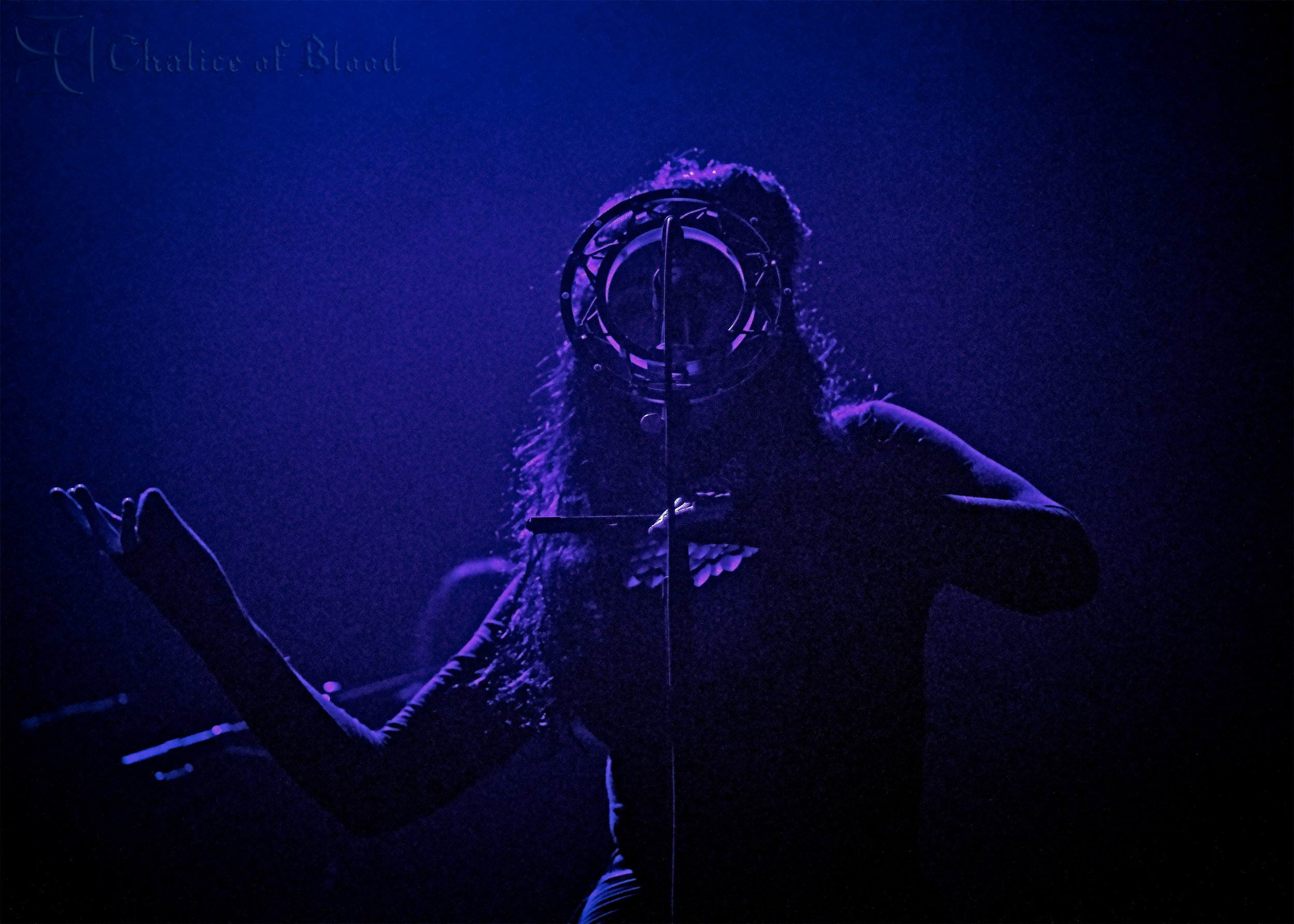 Puscifer - 112 copy.jpg