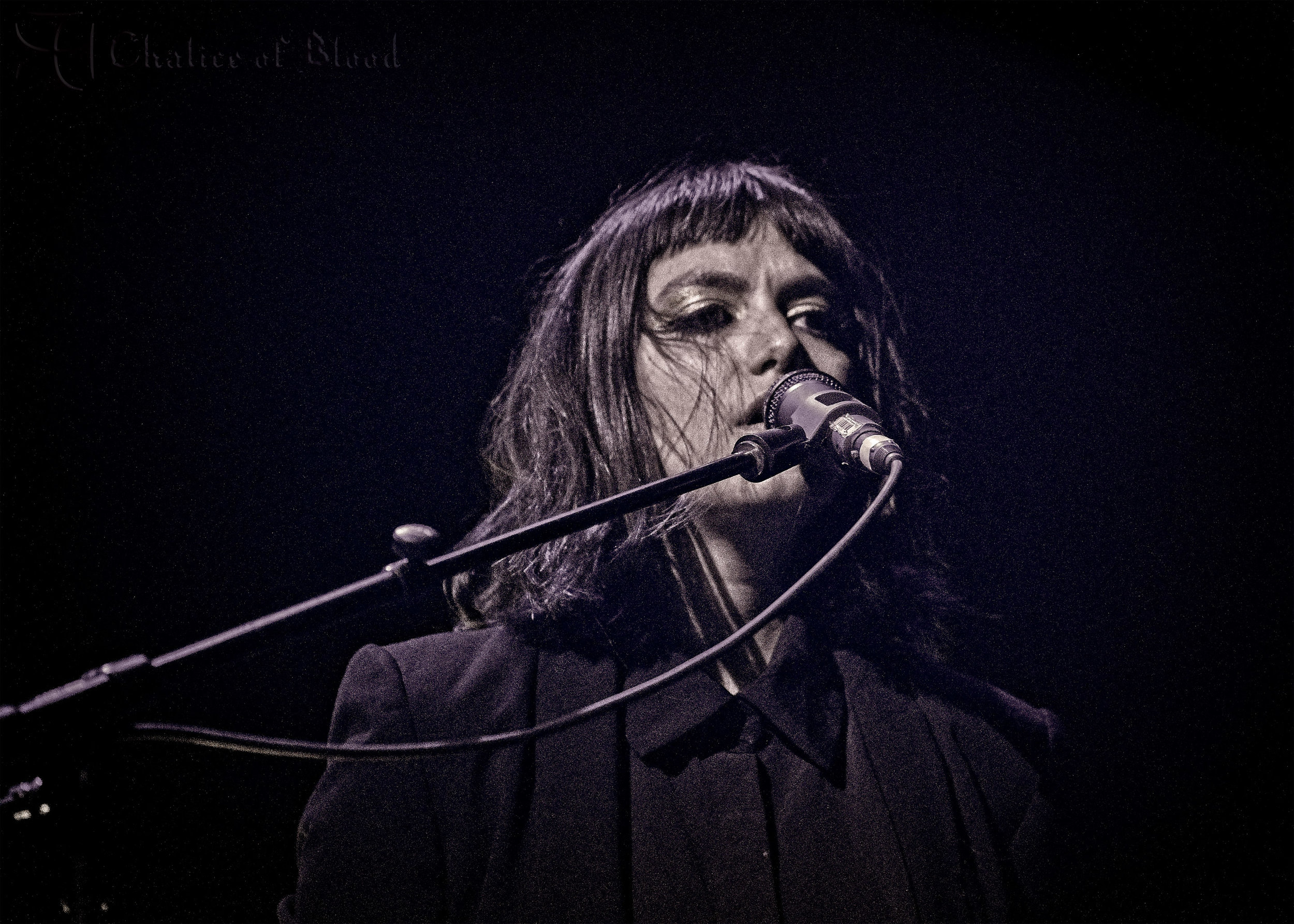 Puscifer - 116 copy.jpg