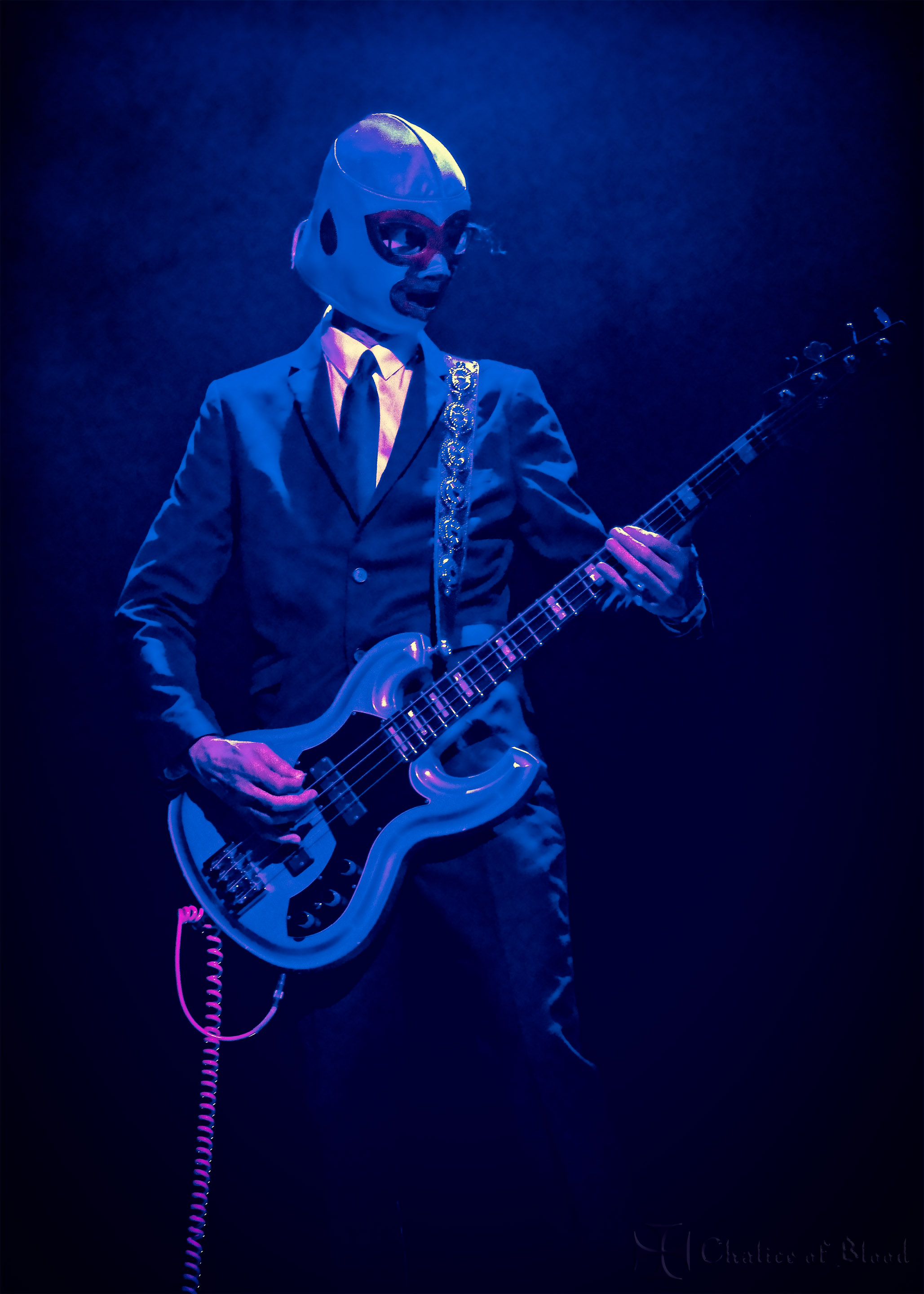 Puscifer - 128 copy.jpg