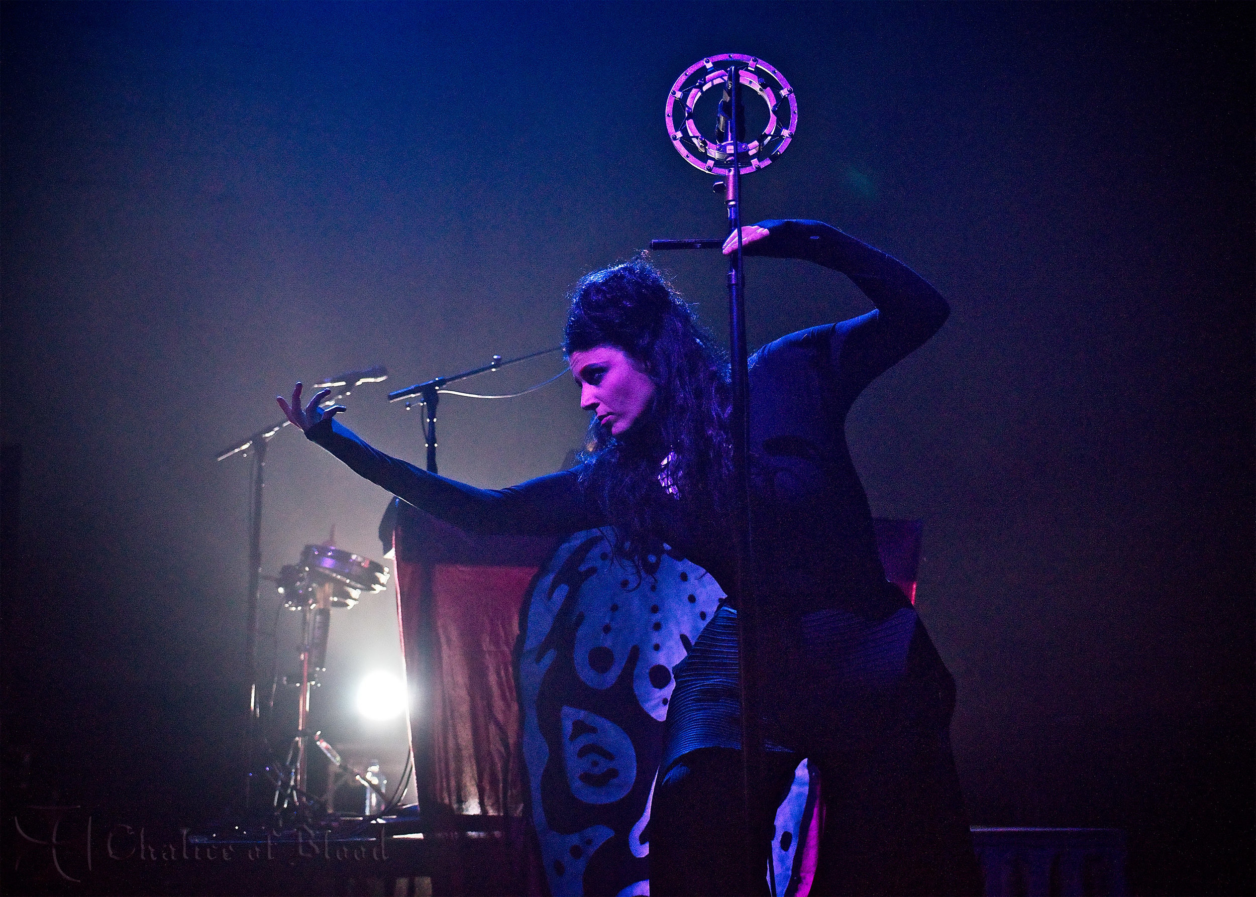 Puscifer - 137 copy.jpg