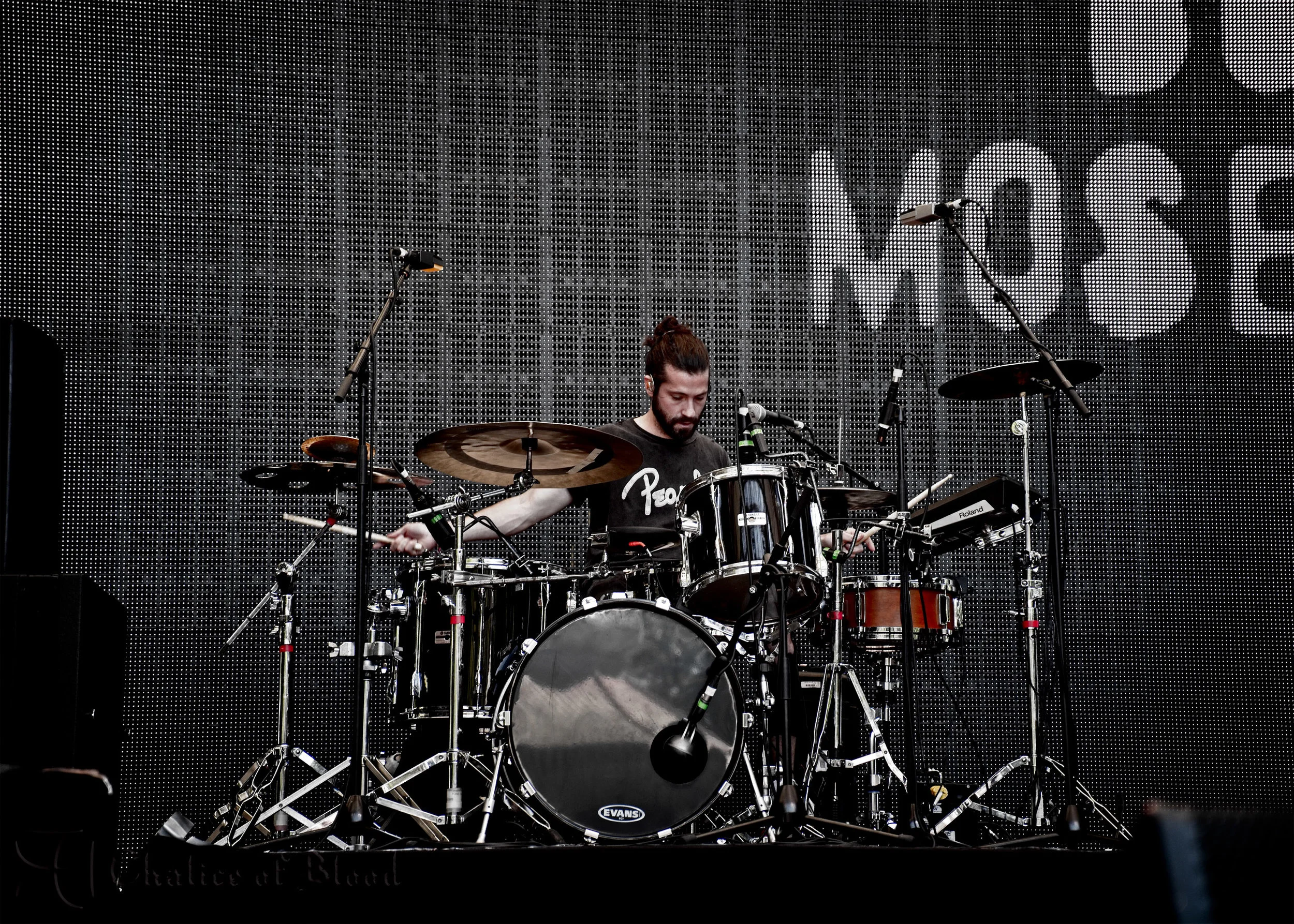 Bob Moses - 147.jpg