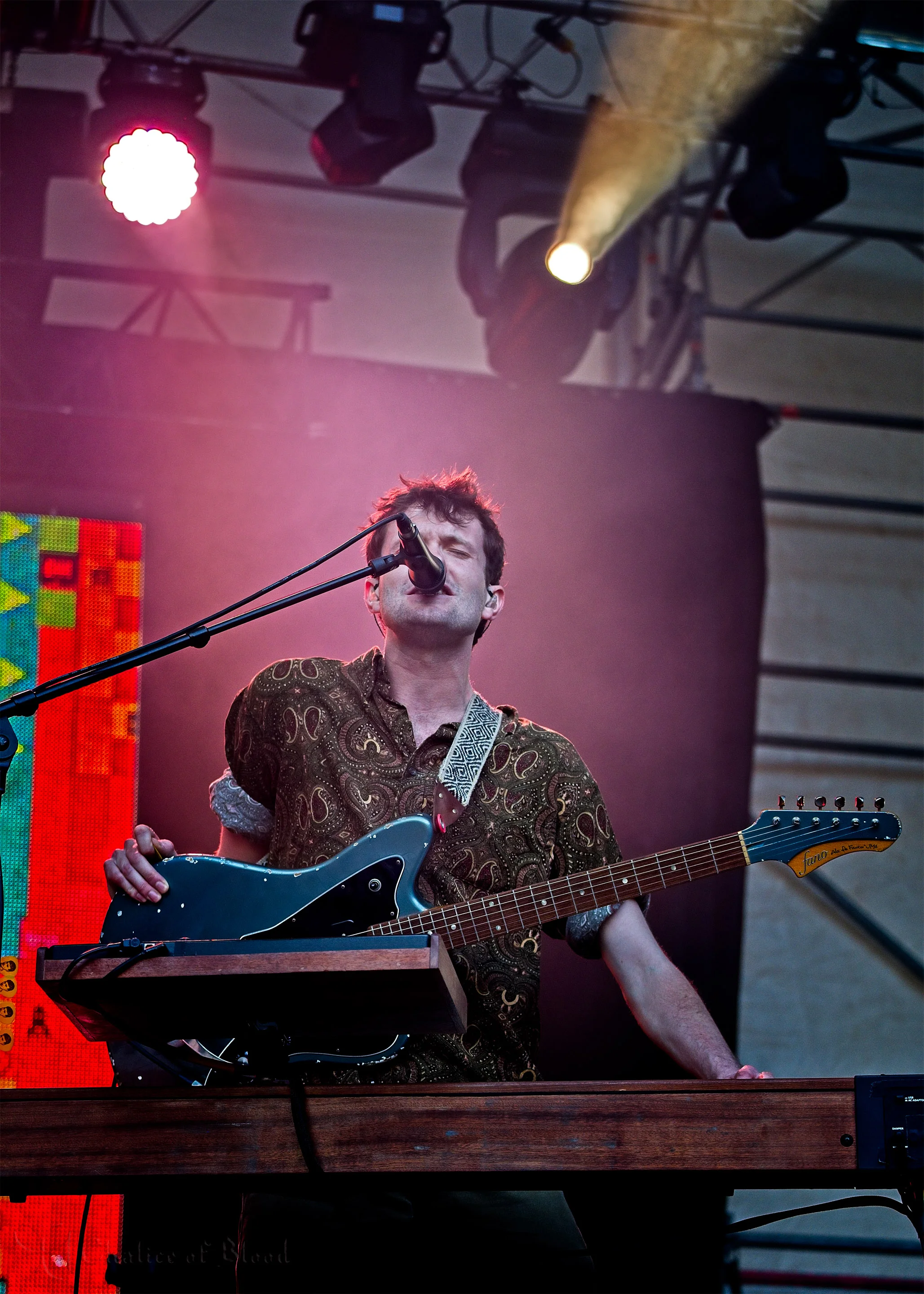 Glass Animals - 20.jpg