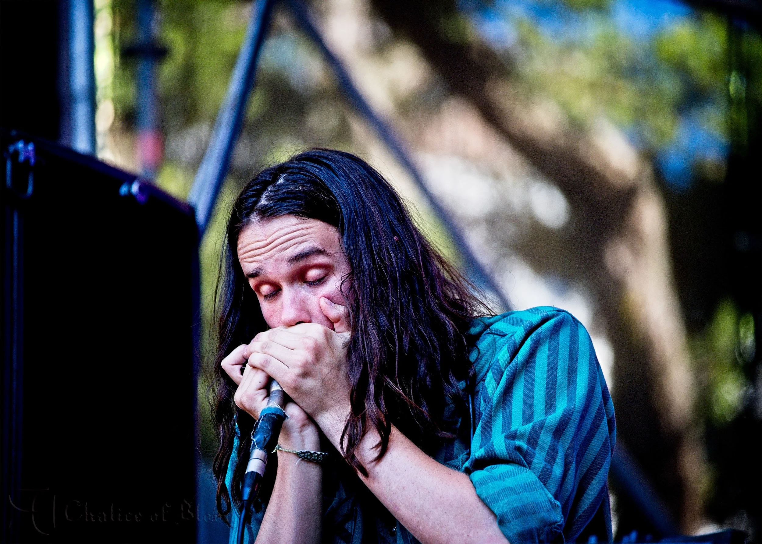 King Gizzard and the Lizard Wizard - 30.jpg