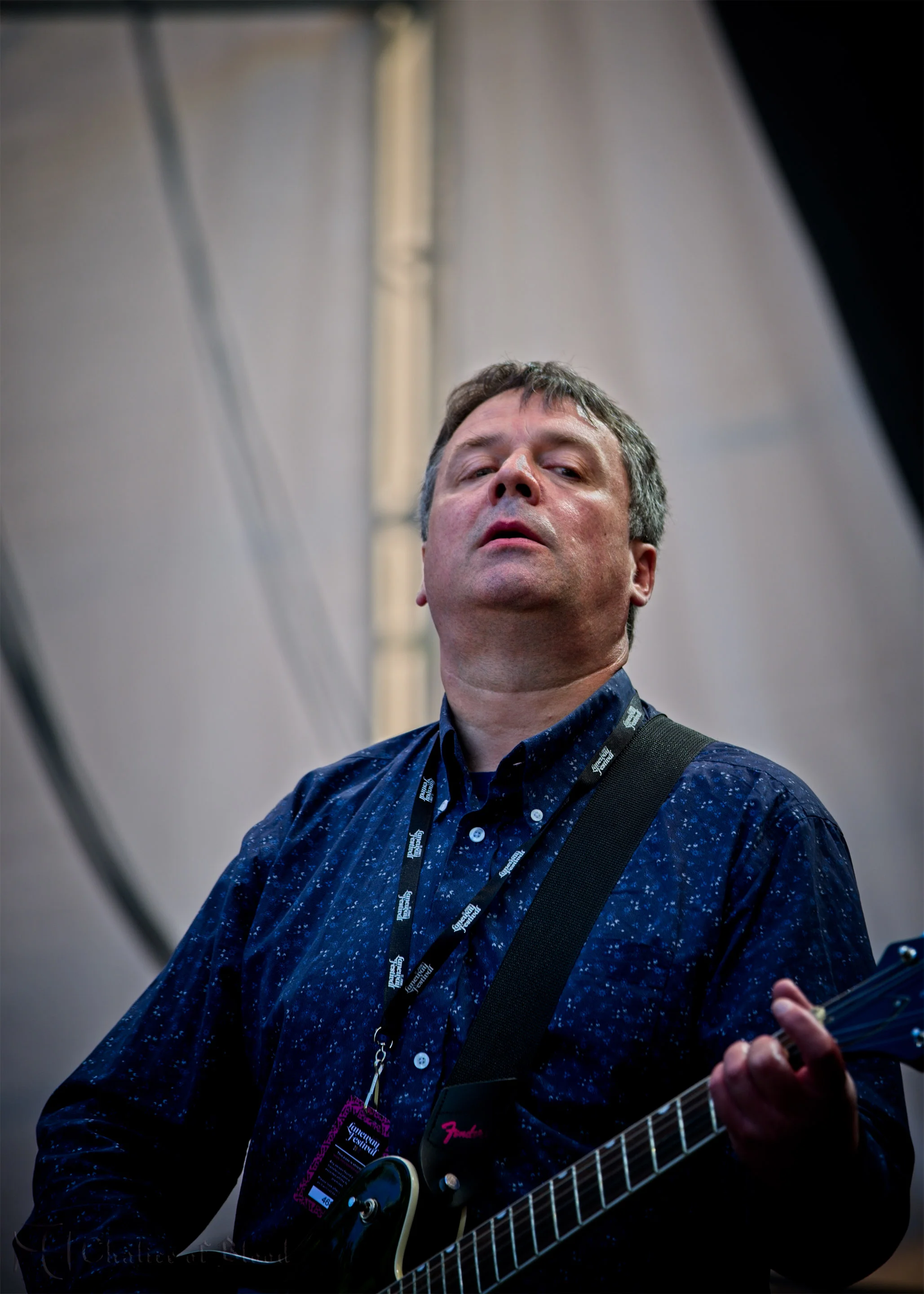 The Chills - 9.jpg